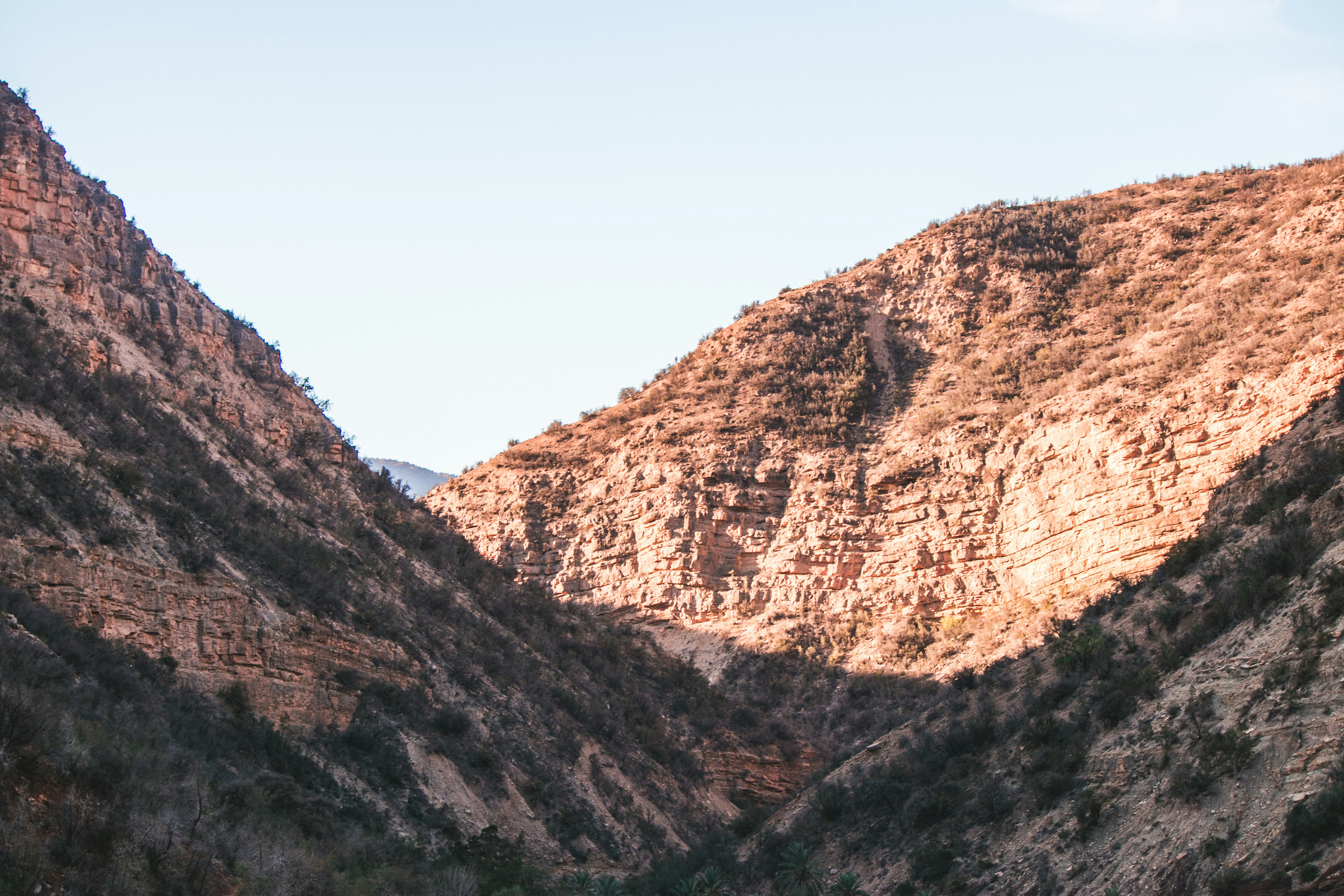 Photo by wlkr_photography