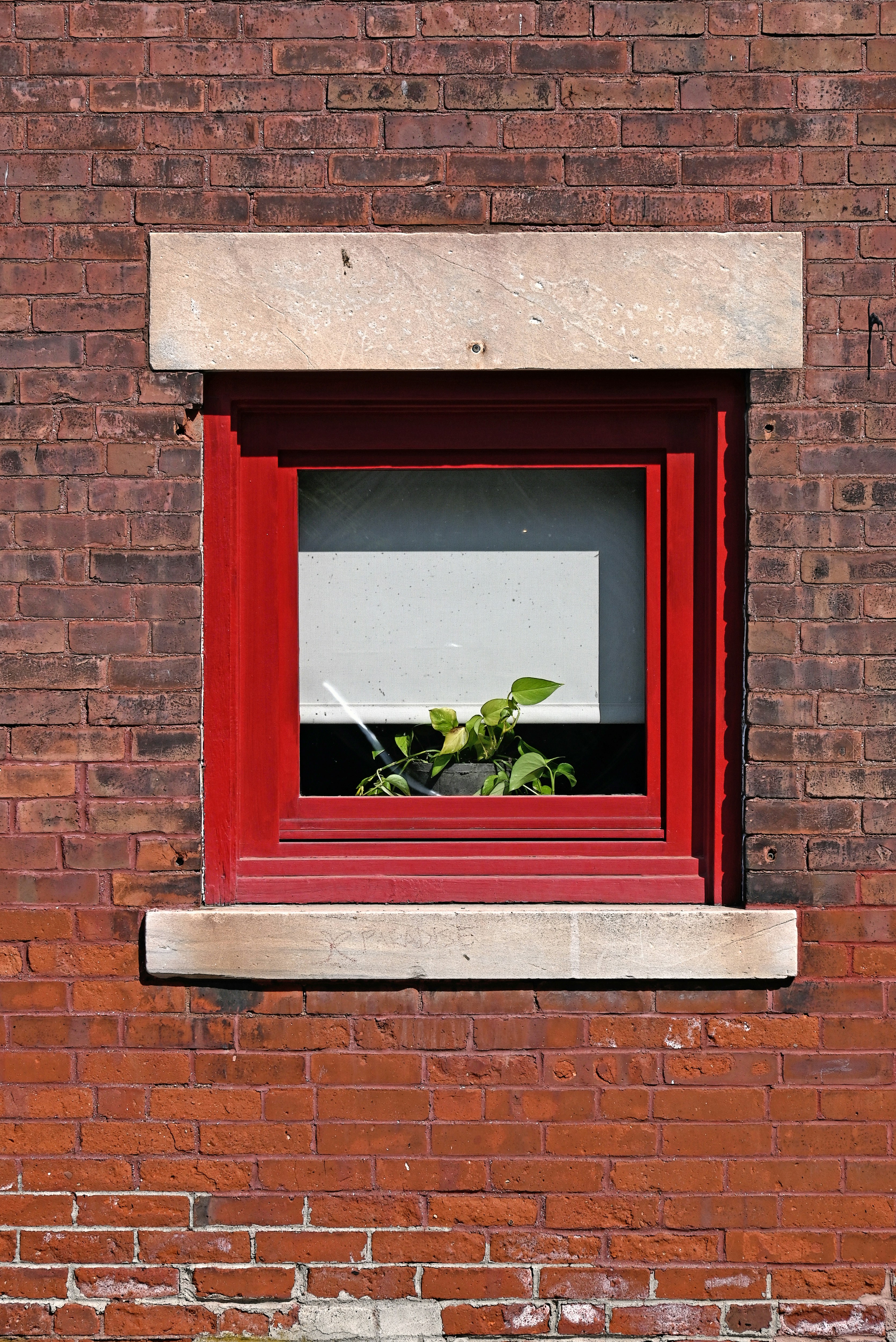 Una ventana roja con una planta en ella