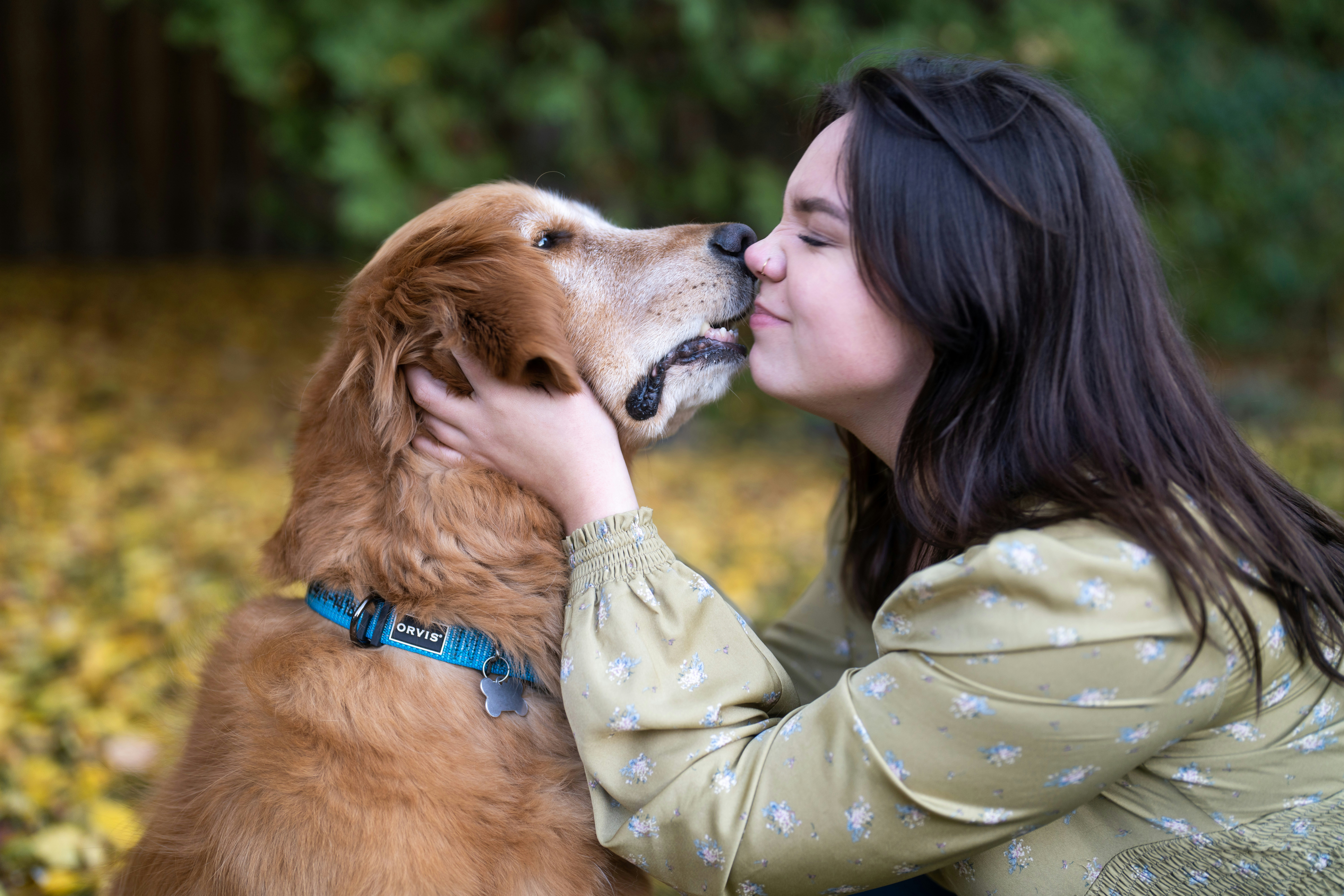 How Dogs Smell Our Feelings