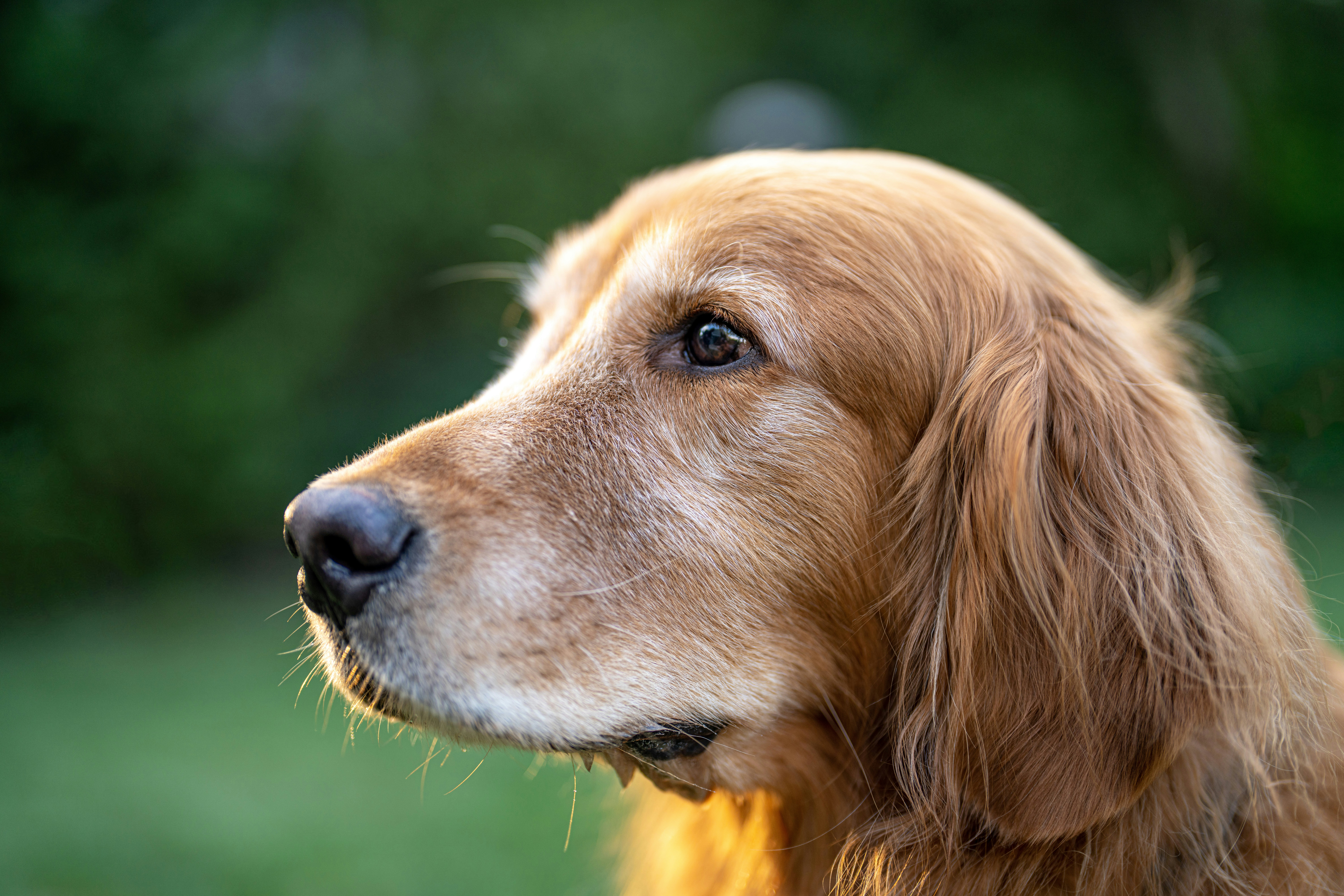 Photo by bugsandslugs