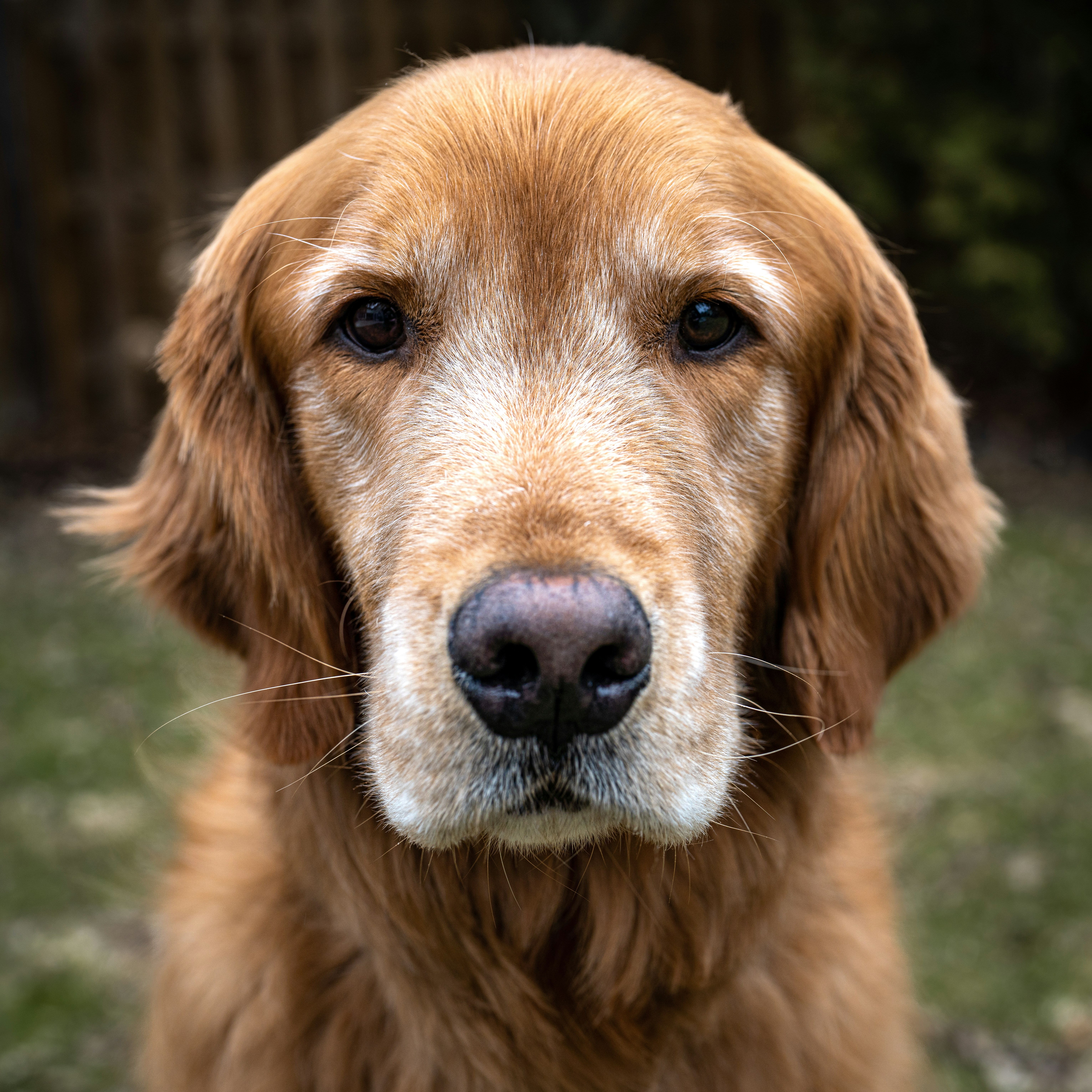 Photo by bugsandslugs