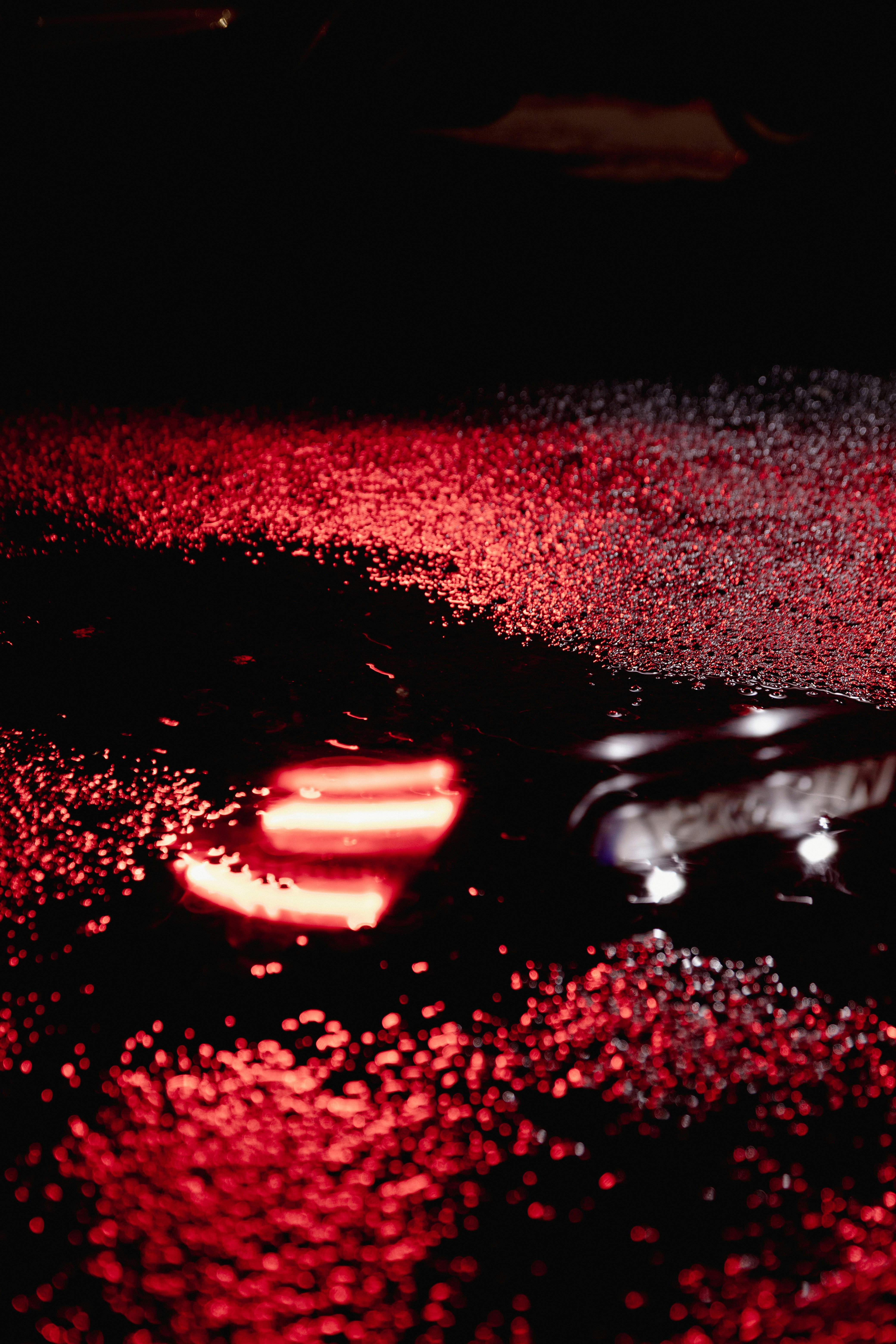 Photo by daniellezuch