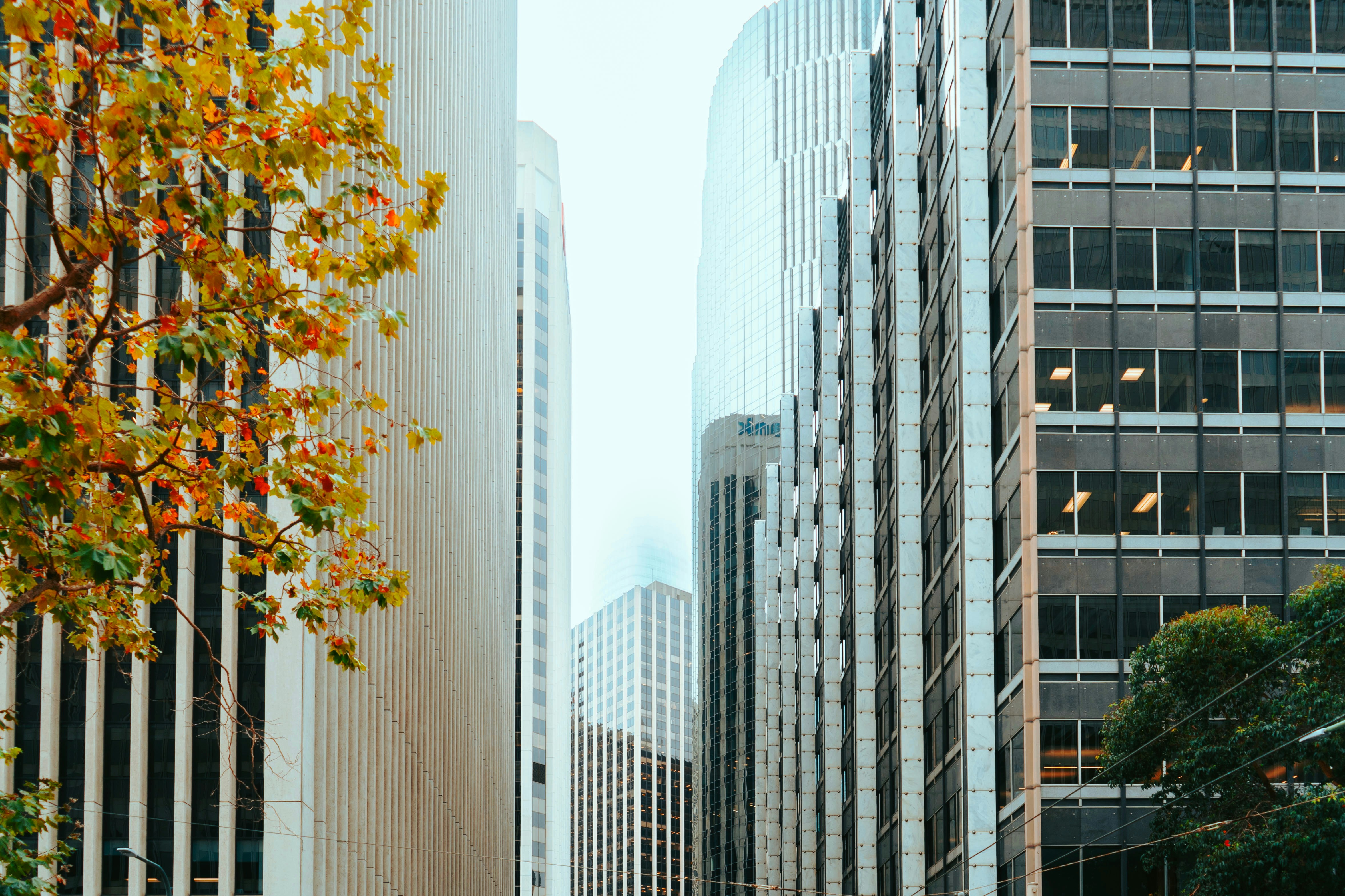 Photo by tarc_maylor