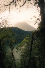 A river running through a lush green forest