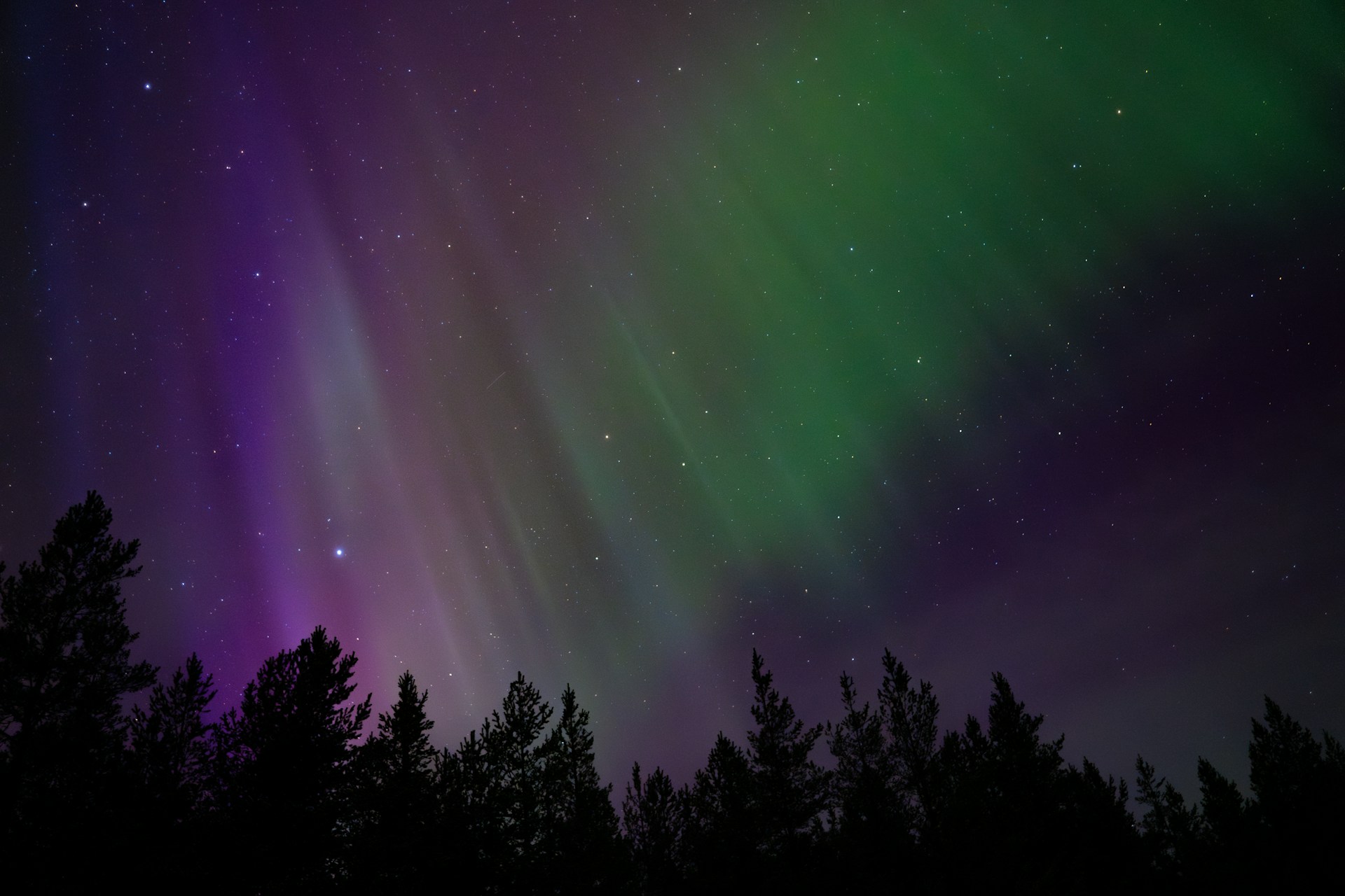 A purple and green aurora bore in the night sky