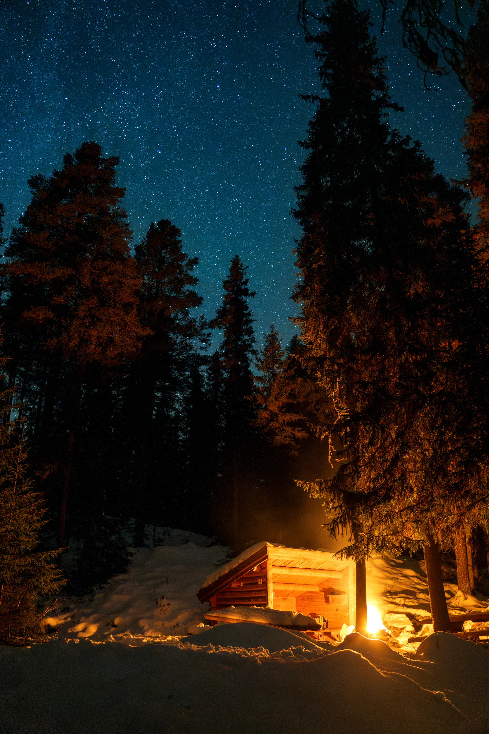 A warmly lit cabin in the snow under a dark, aurora-free night sky in Norway