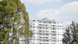 A tall white building sitting next to a lush green forest