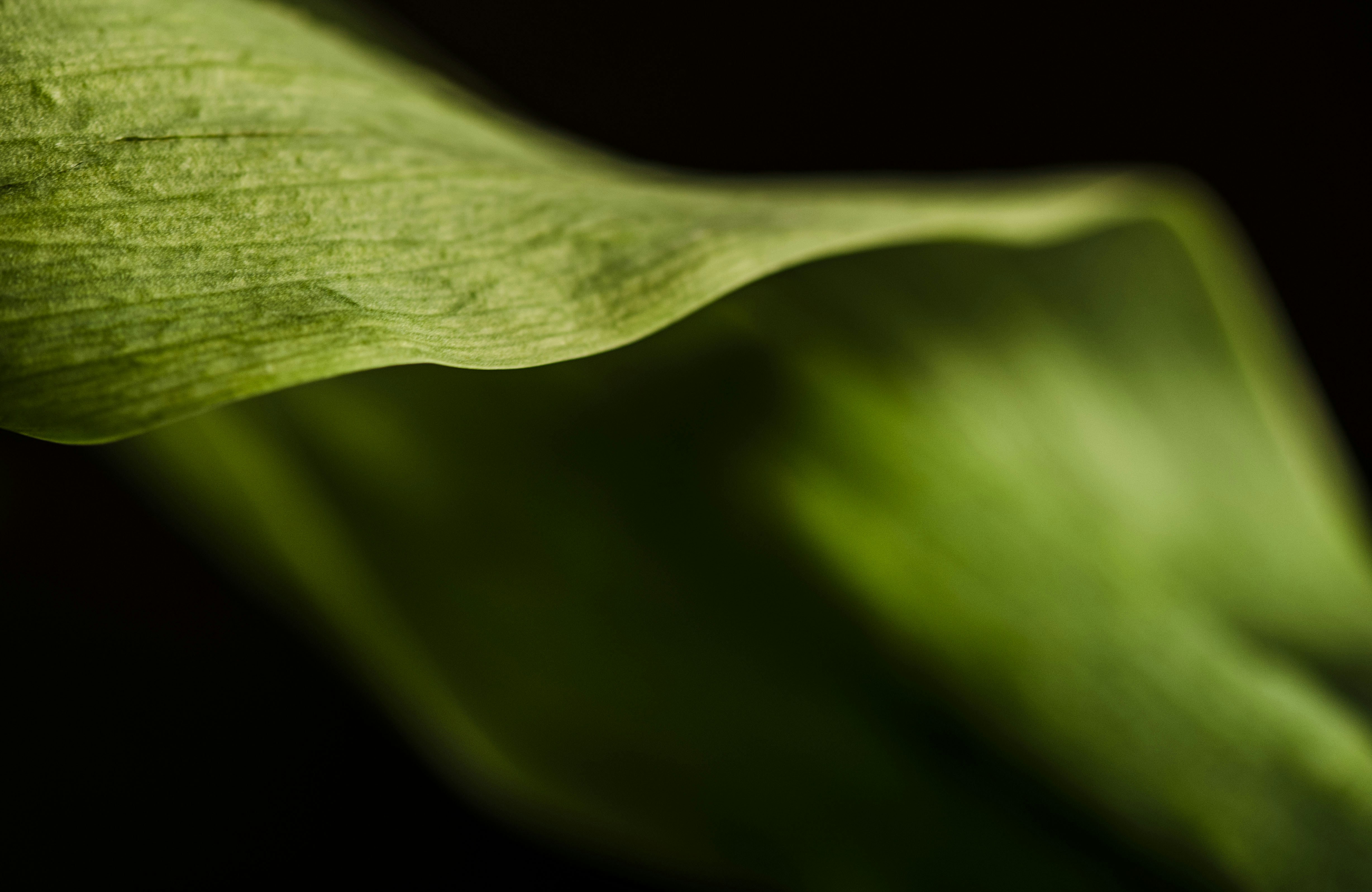 Photo by mariammagsi