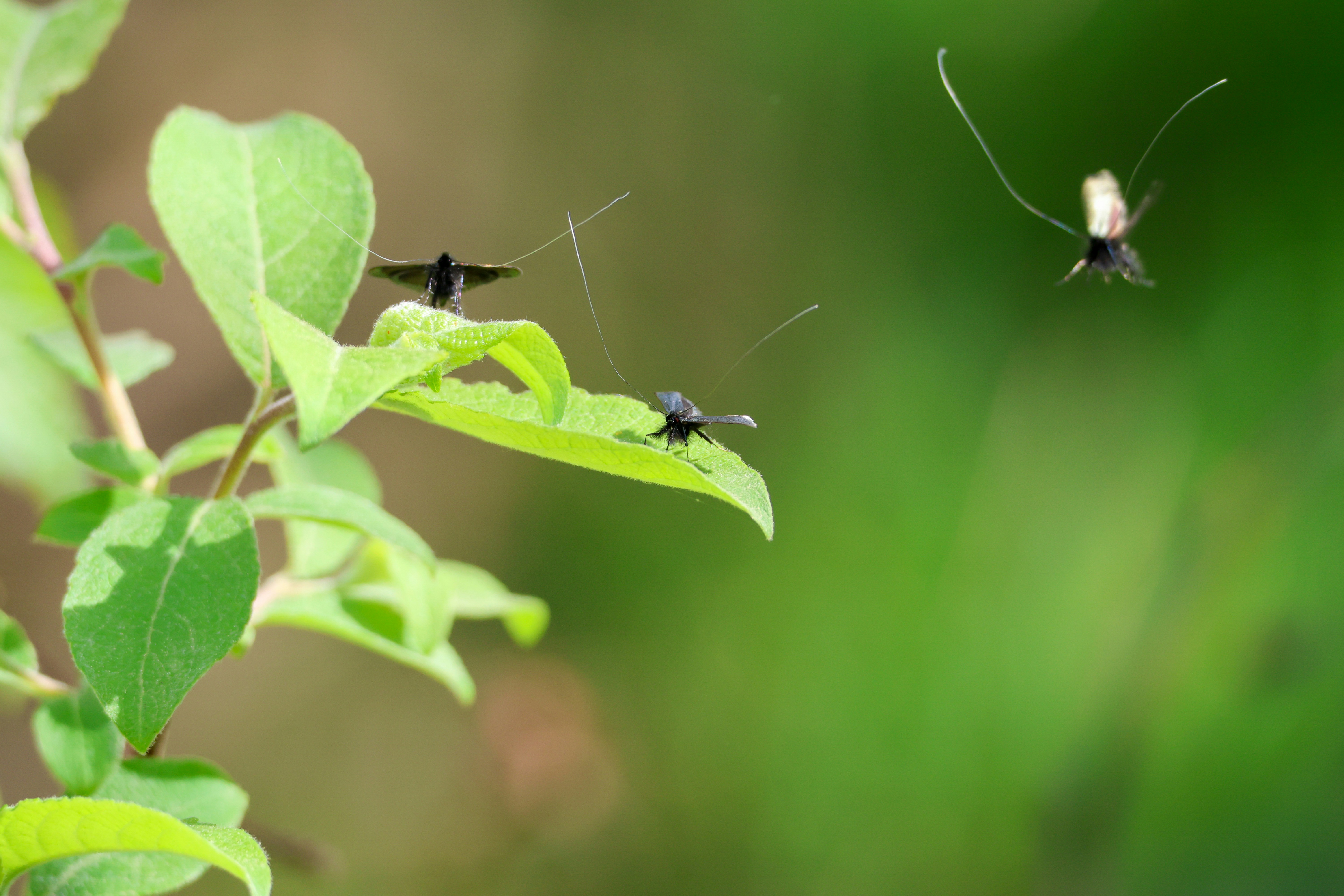 Photo by stockbirken