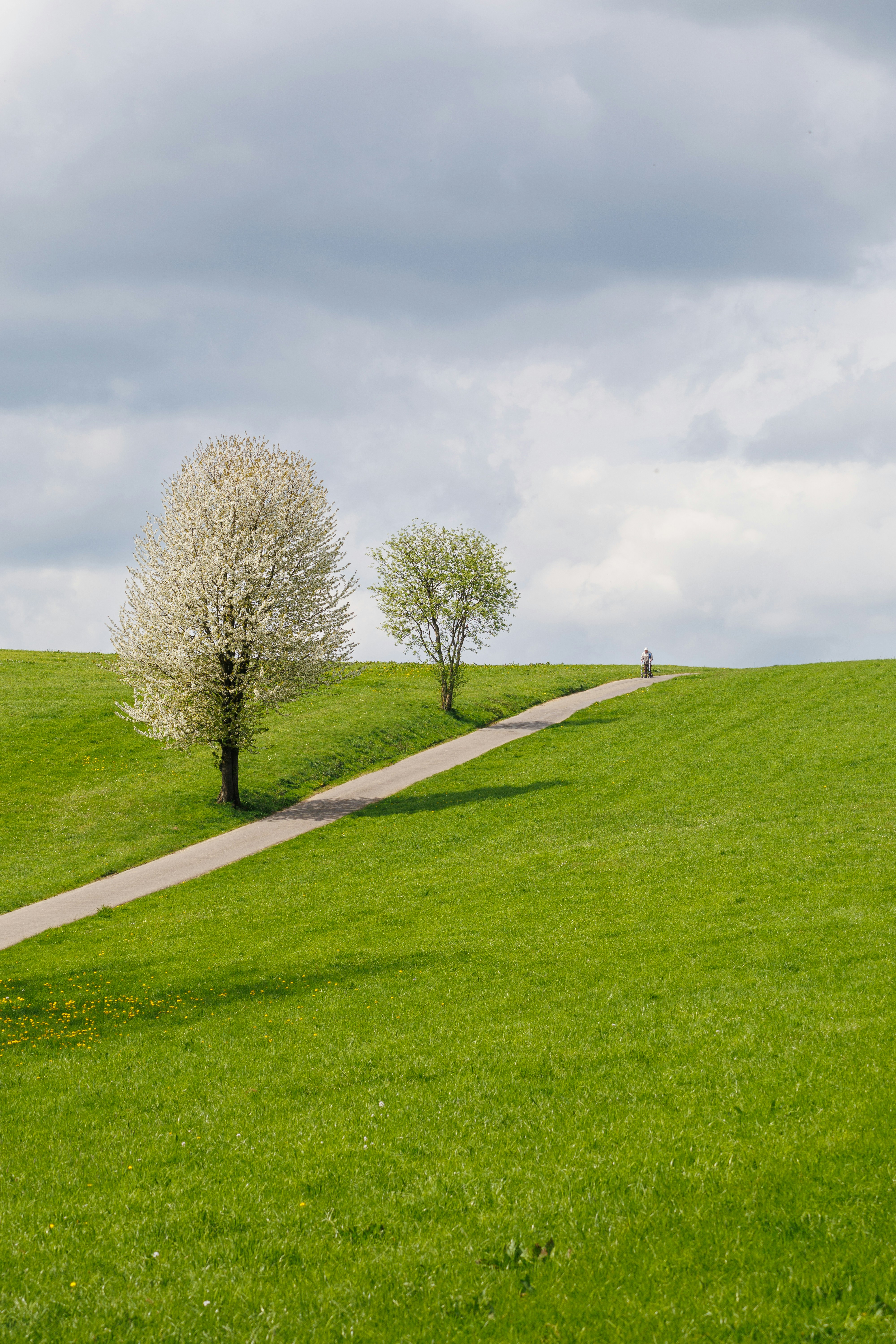 Photo by stockbirken