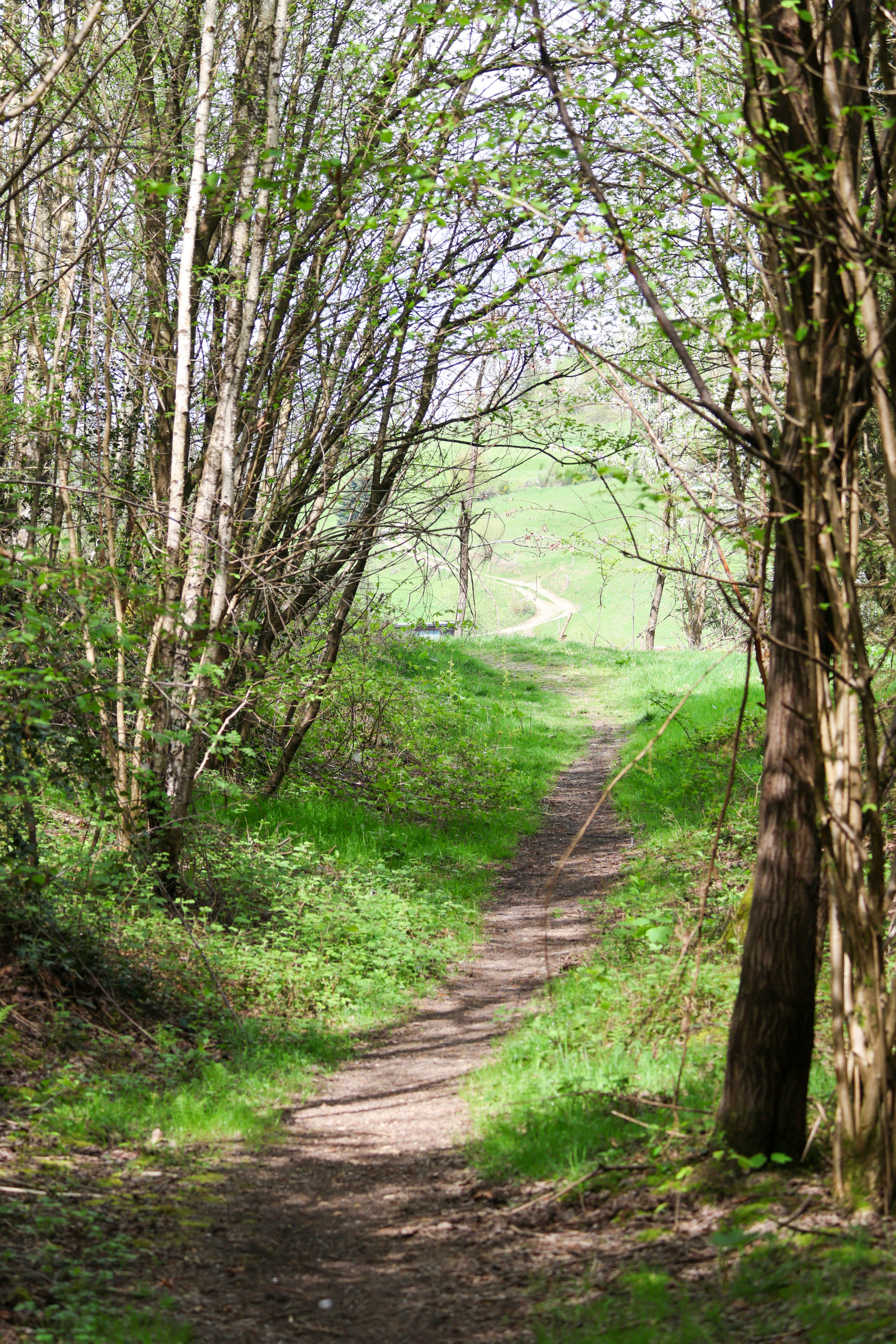 Photo by stockbirken