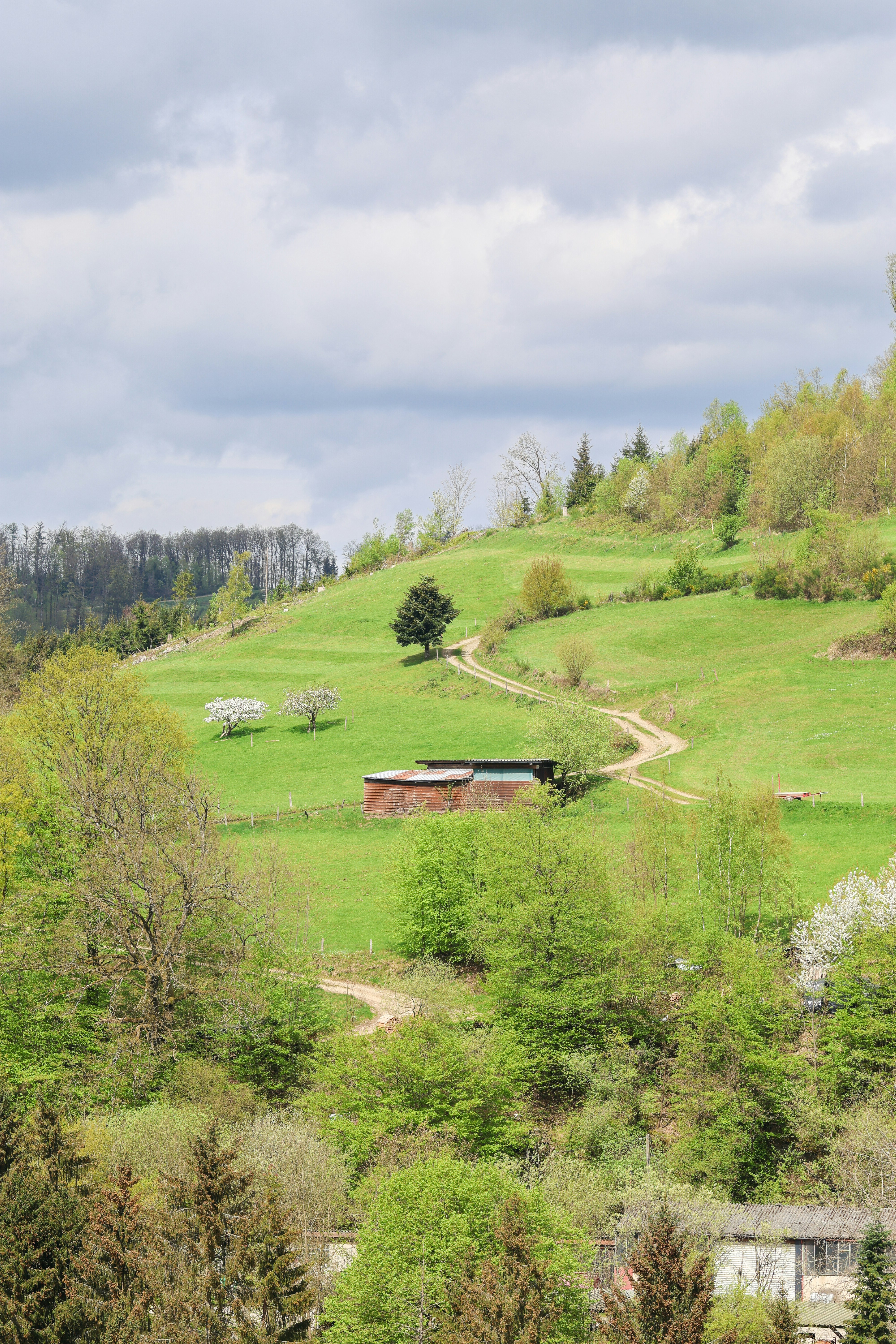 Photo by stockbirken