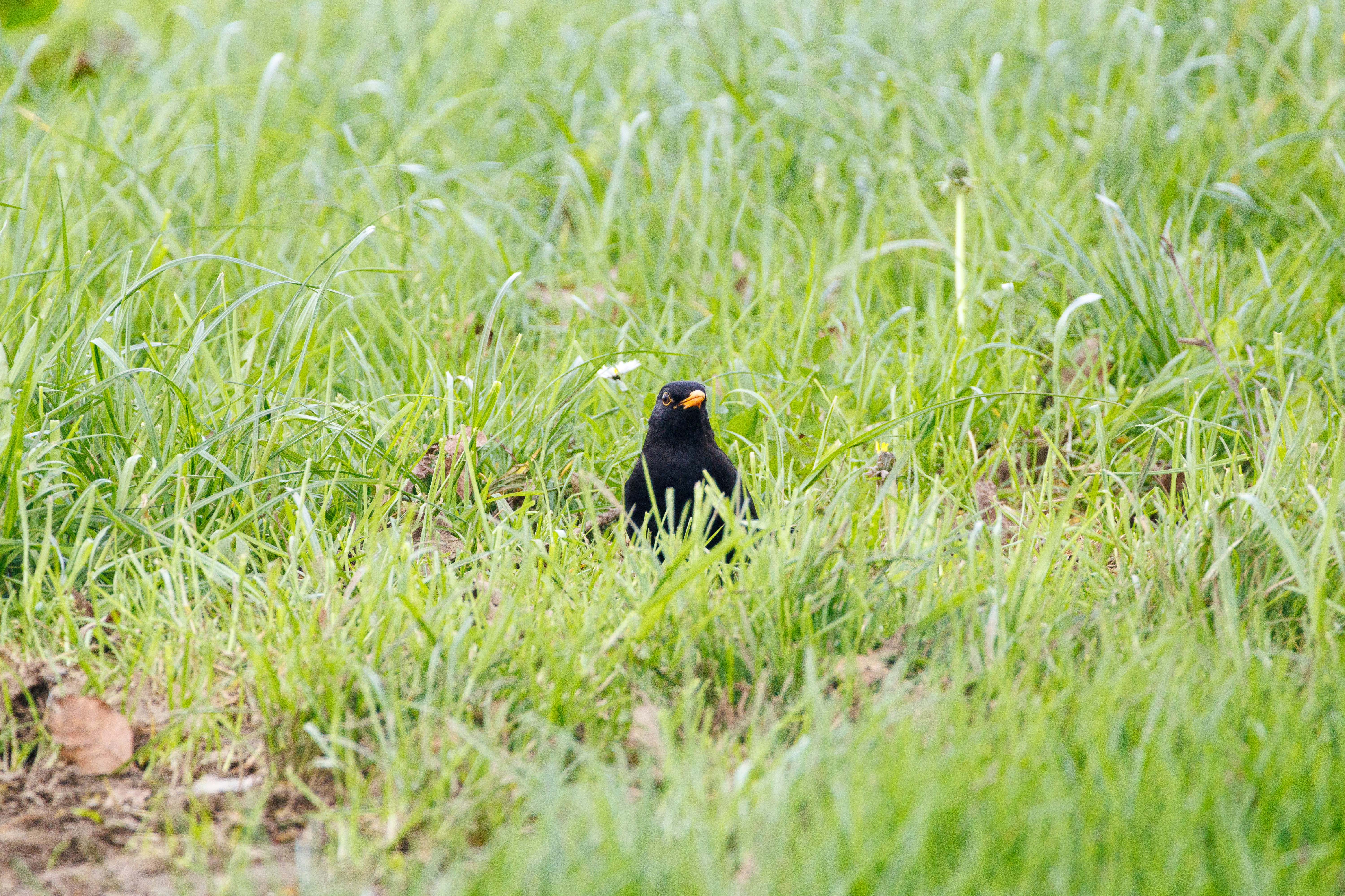 Photo by stockbirken