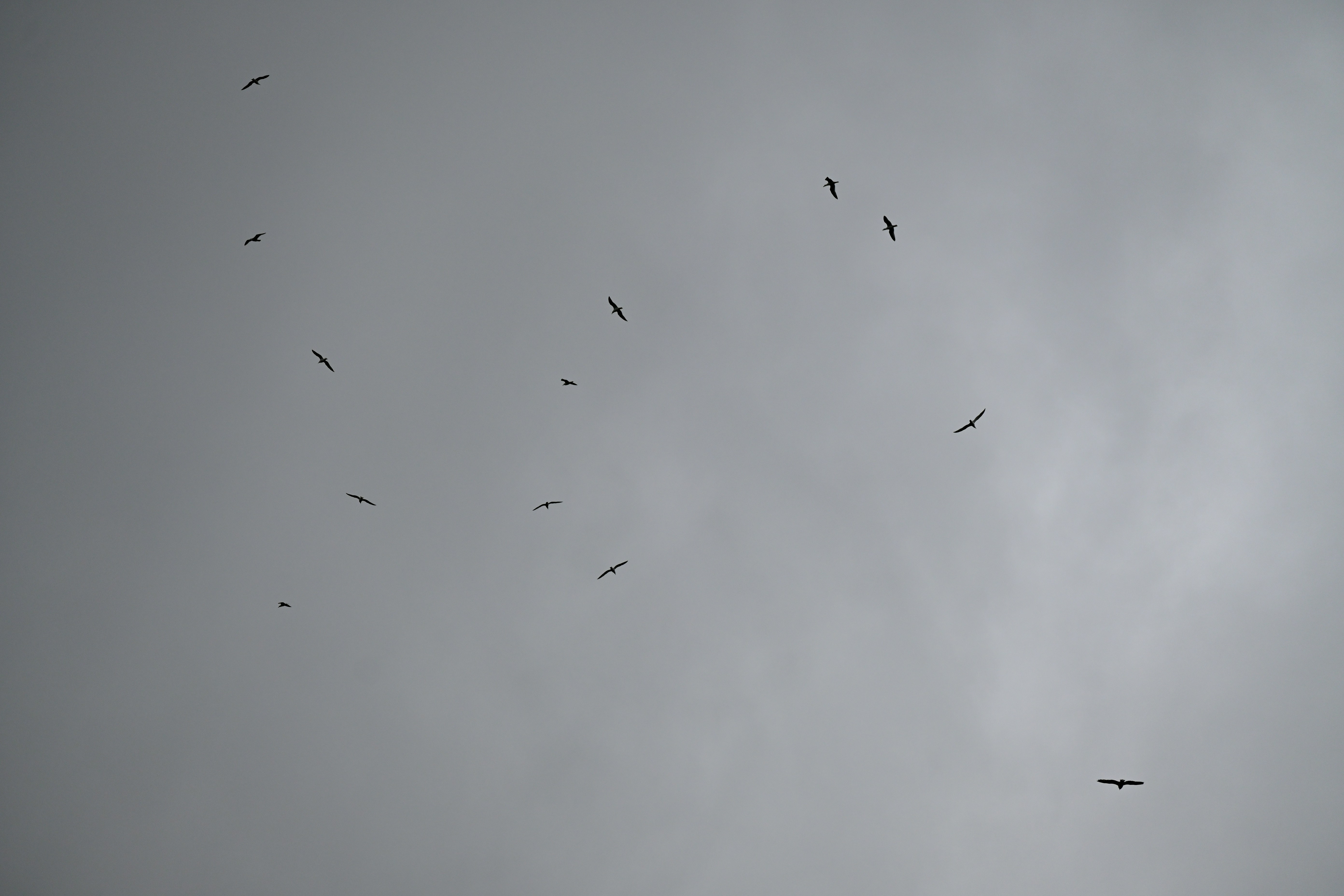 Photo by aminzabardast