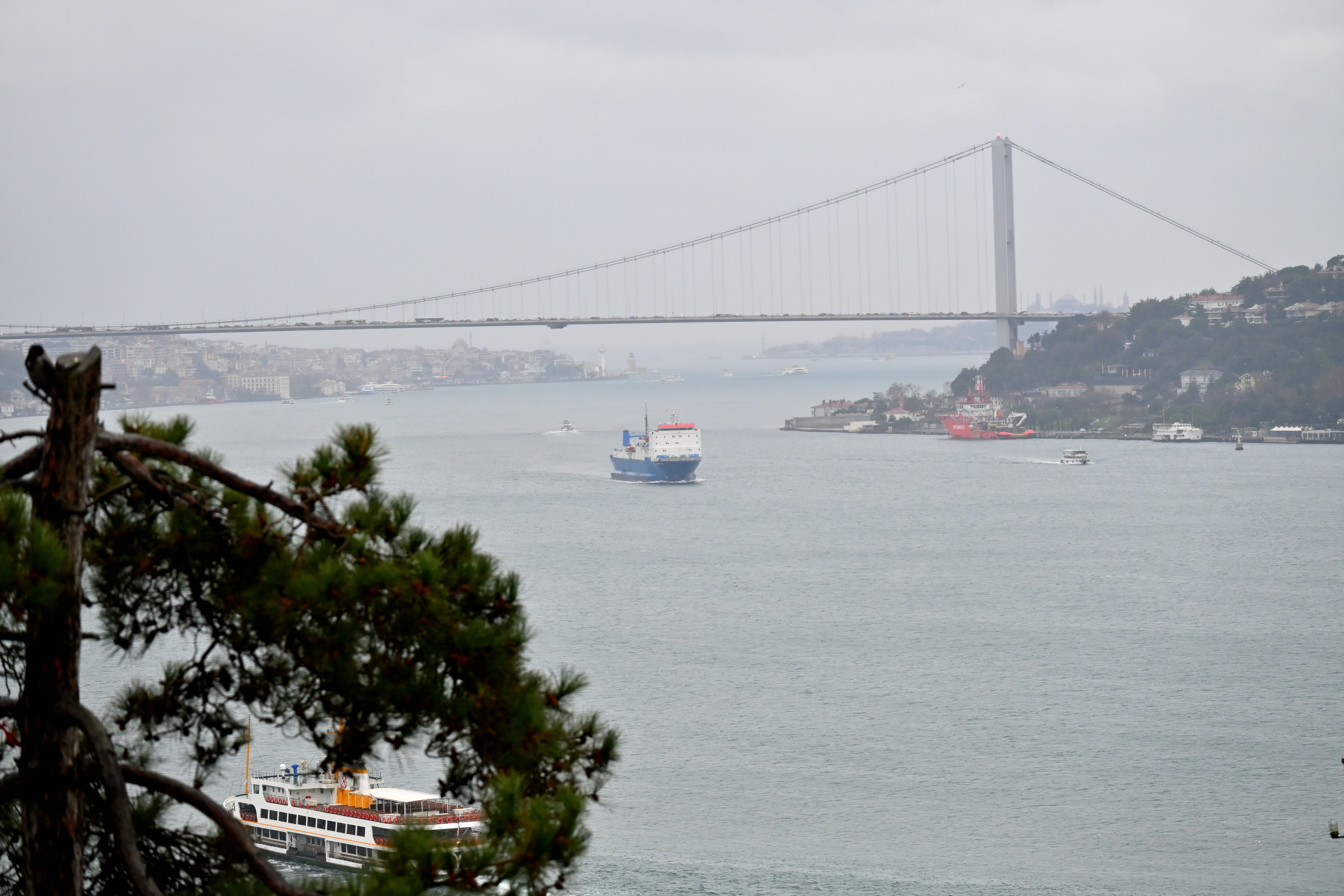 Photo by aminzabardast