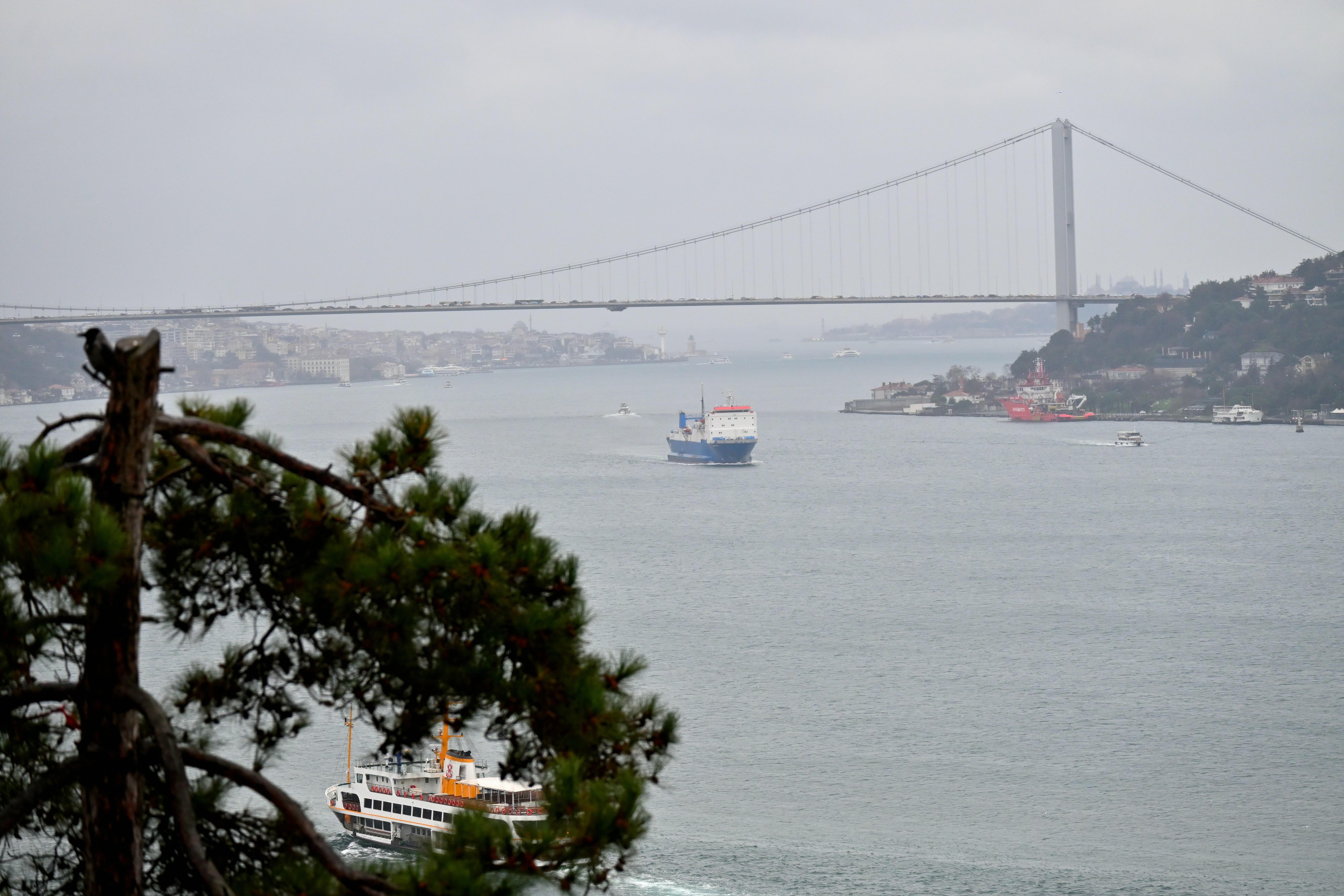 Photo by aminzabardast
