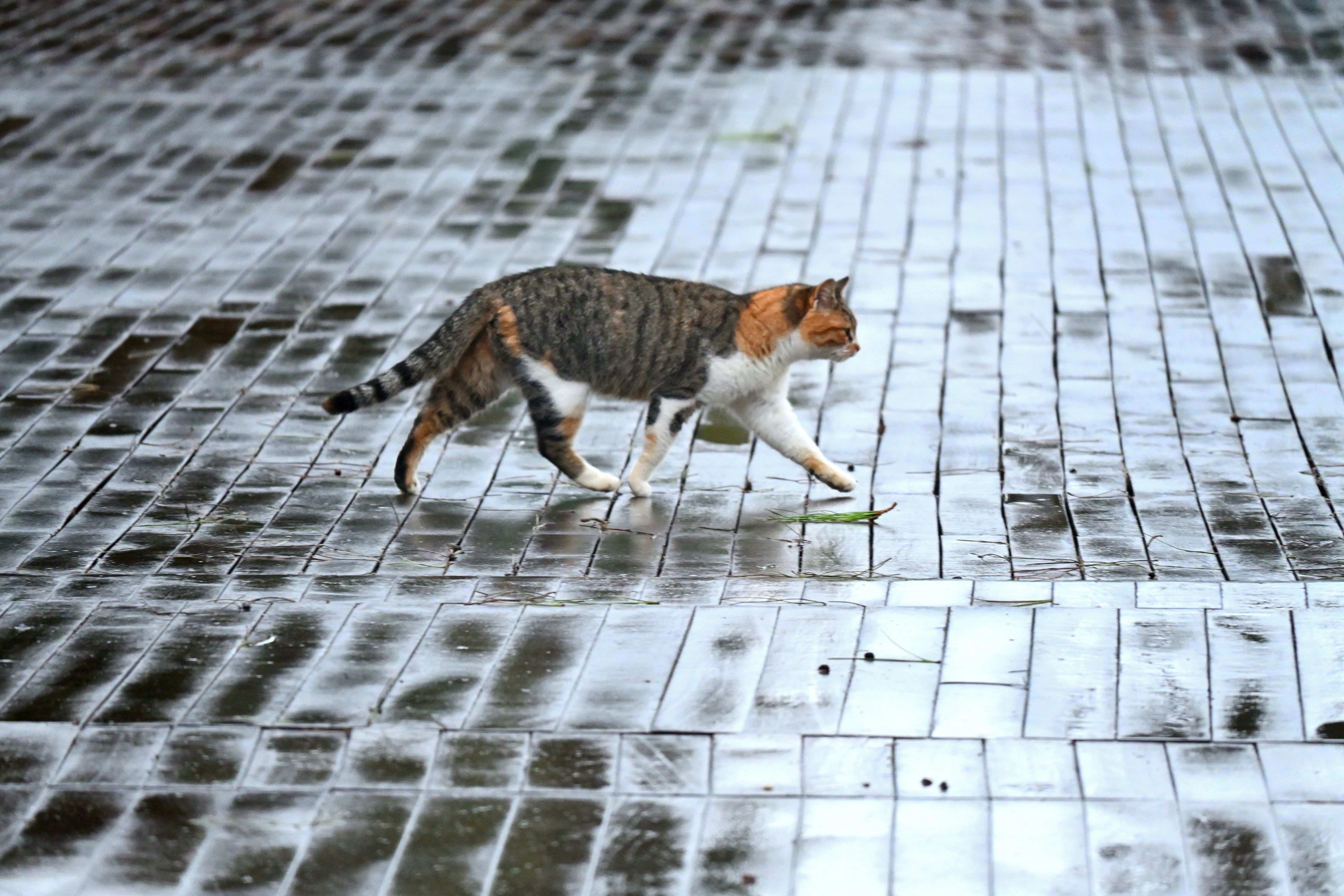 4 Navigating Complex Spaces (image credits: unsplash)