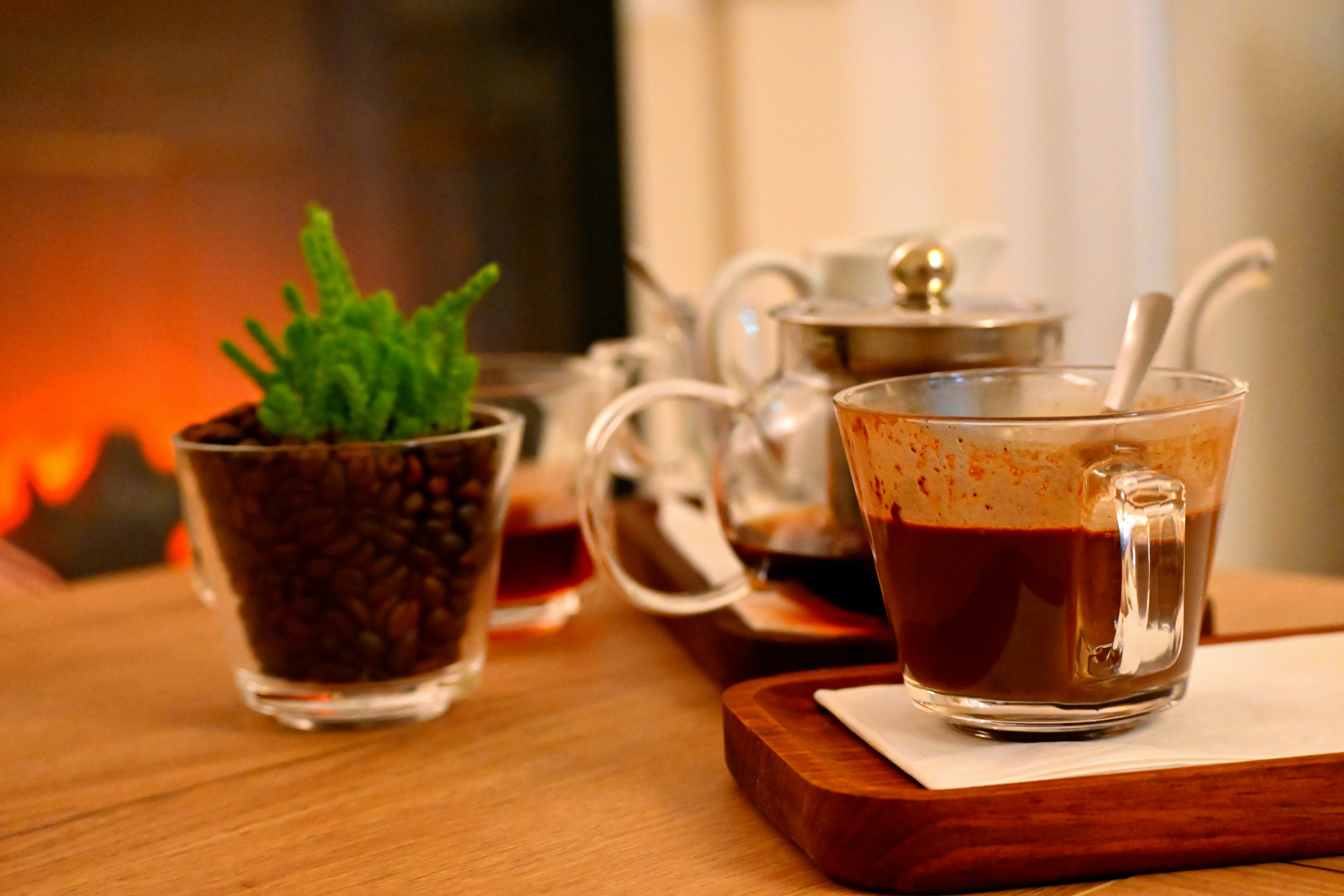 Glass cups of coffee beside a small plant