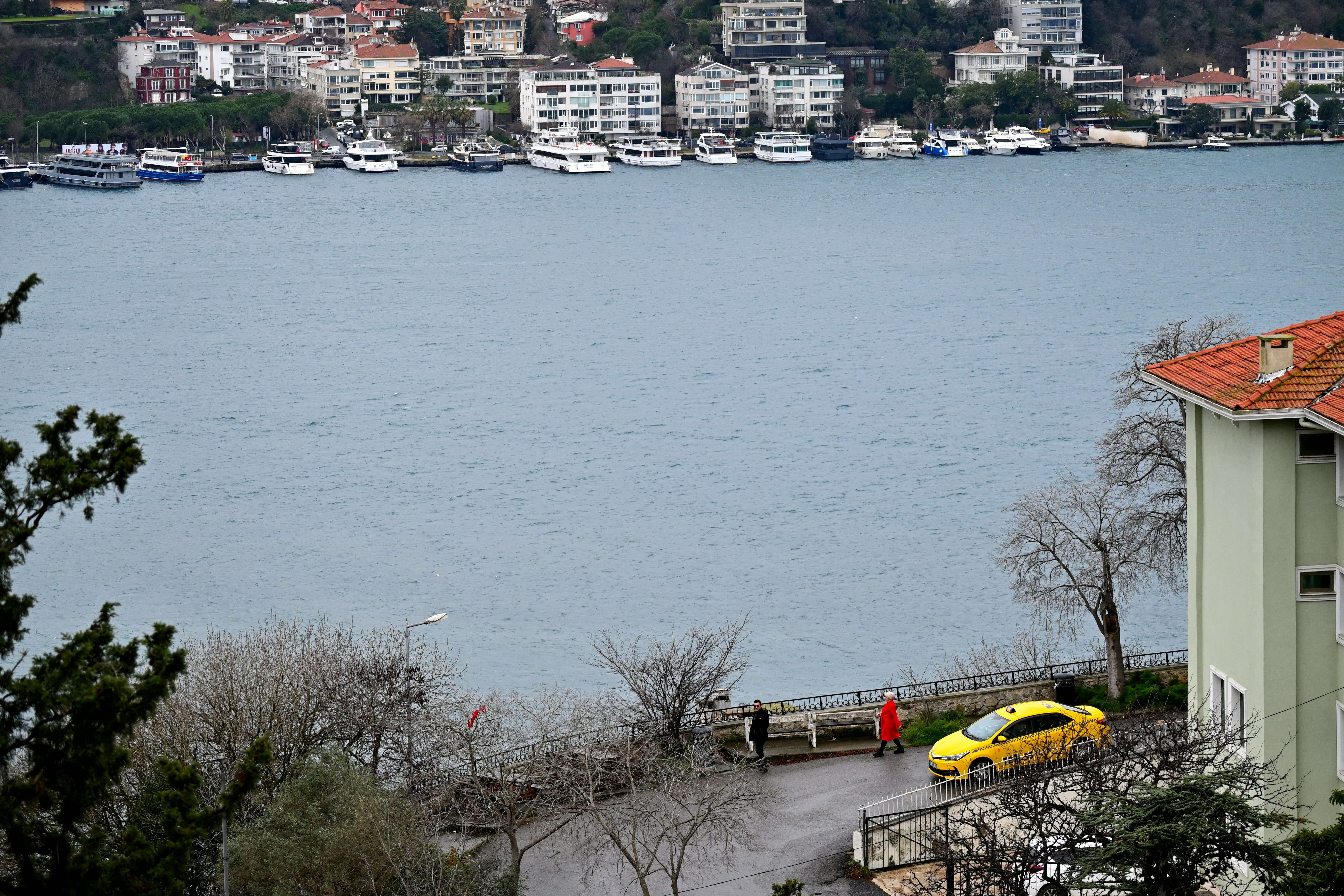 Photo by aminzabardast