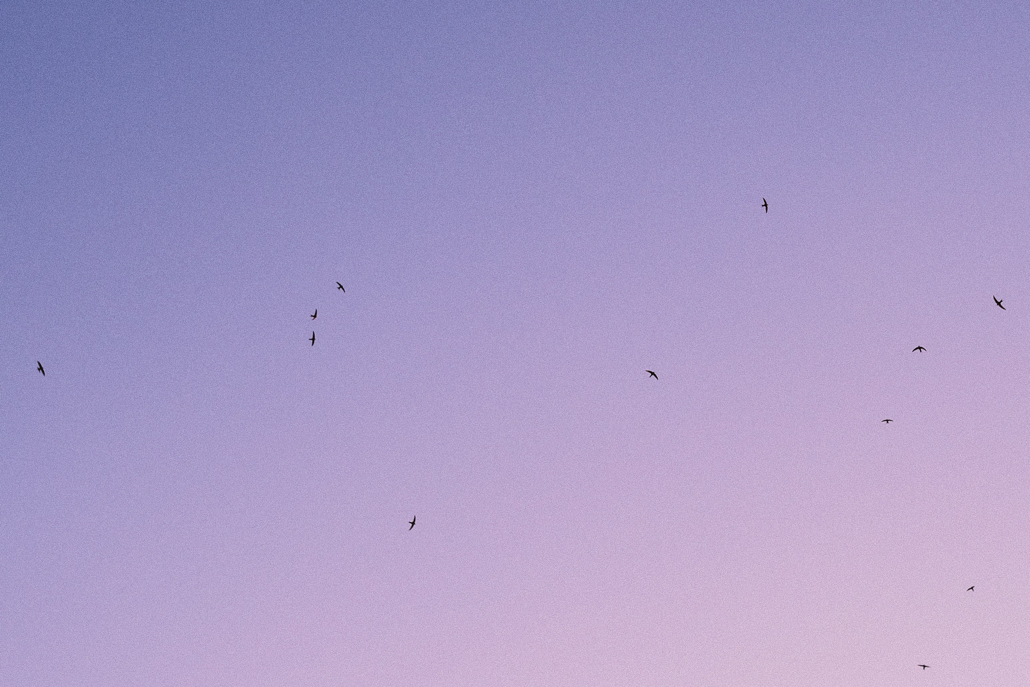 Photo by visualsbying