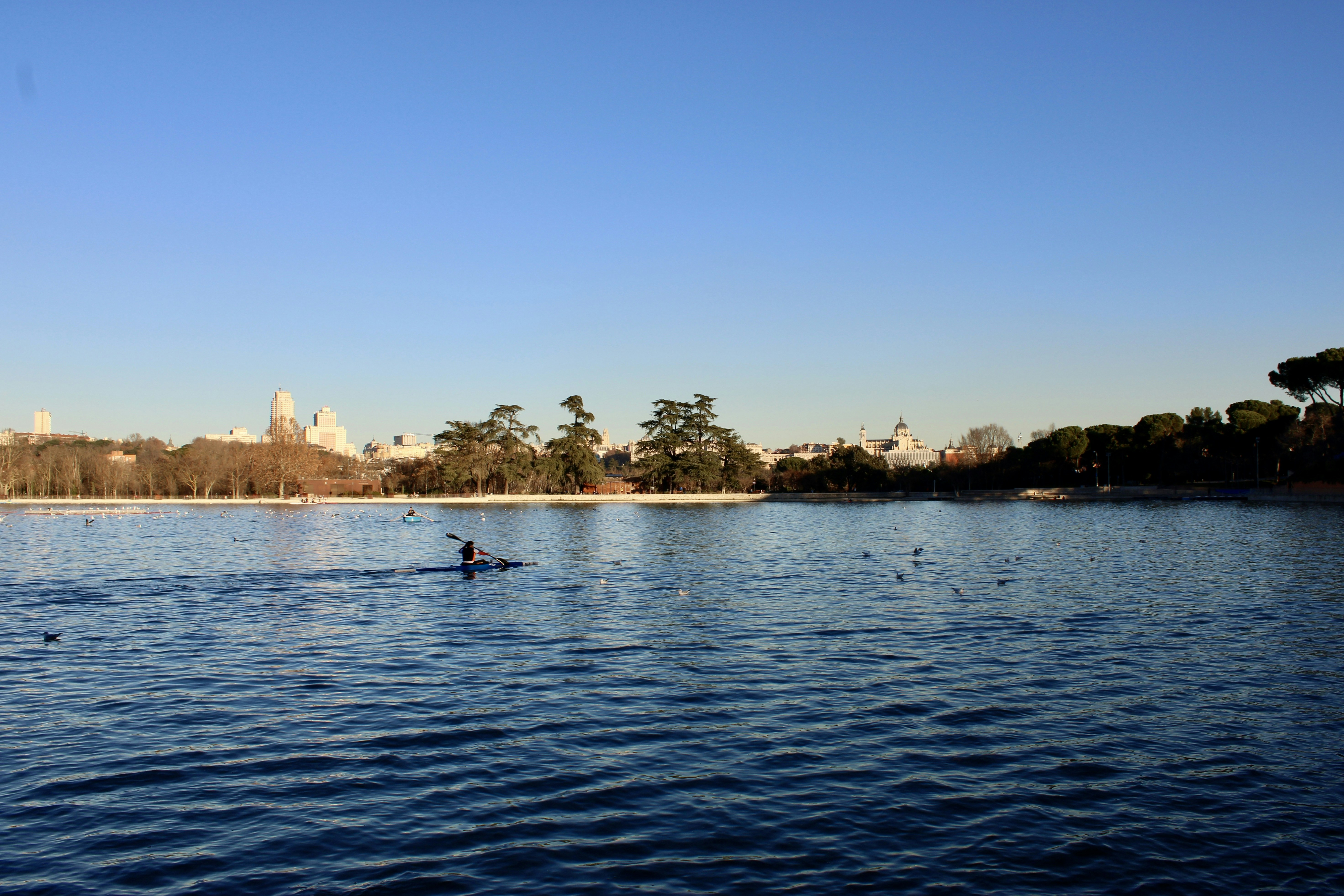 Photo by camilasabel