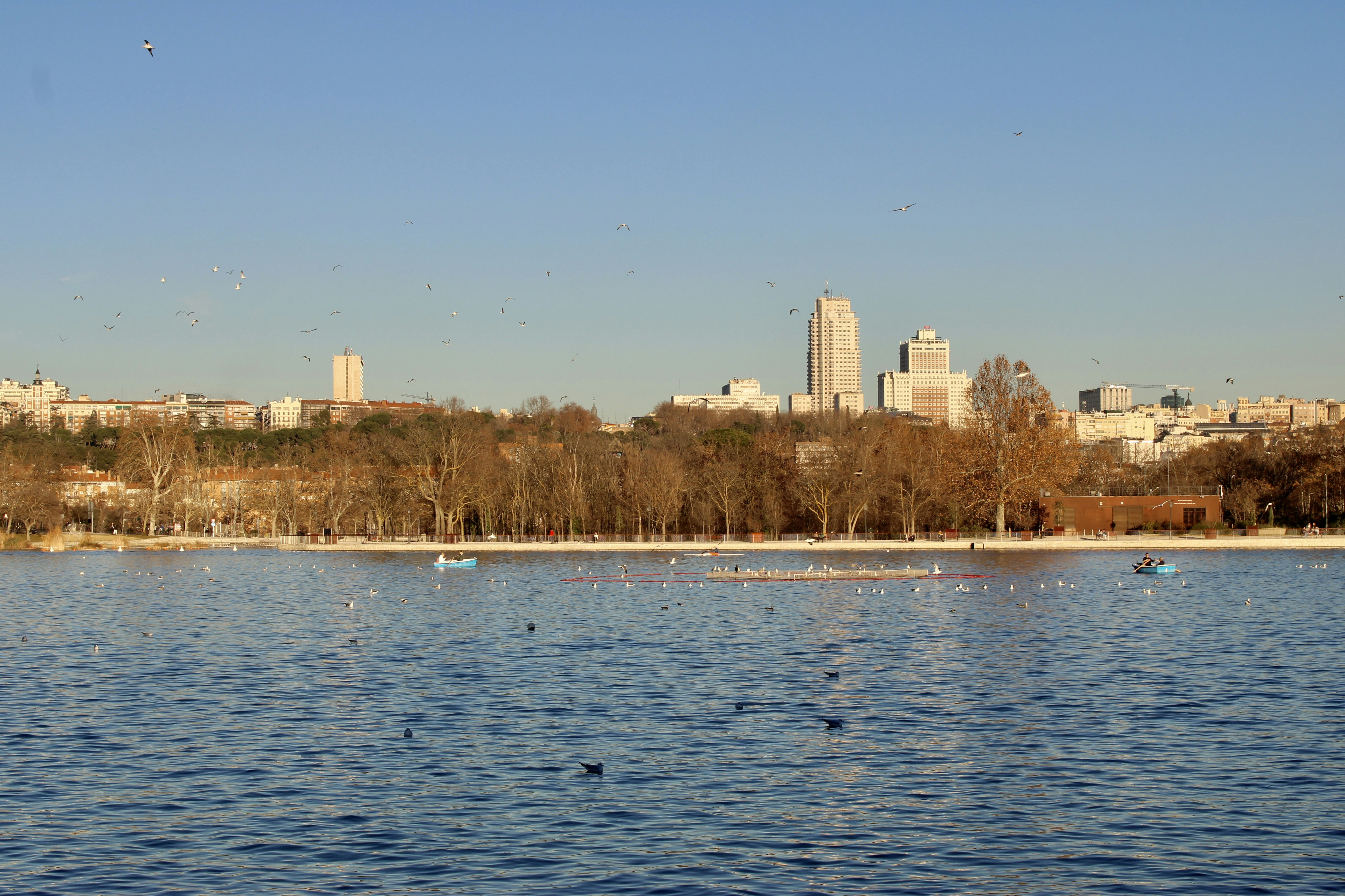 Photo by camilasabel