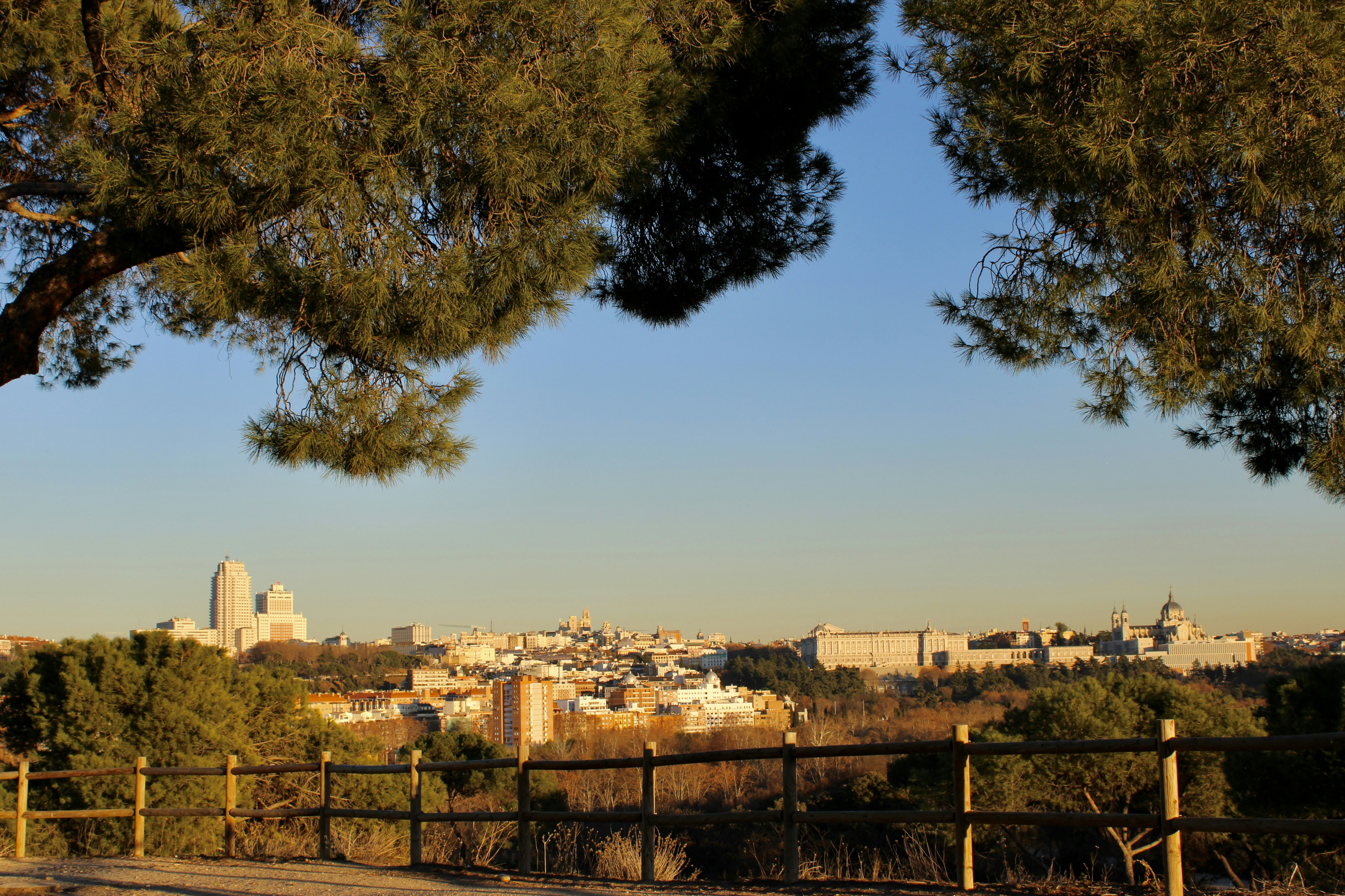 Photo by camilasabel