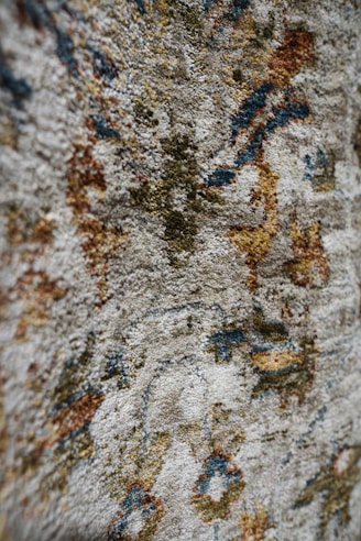 A close up of a rock with a tree in the background