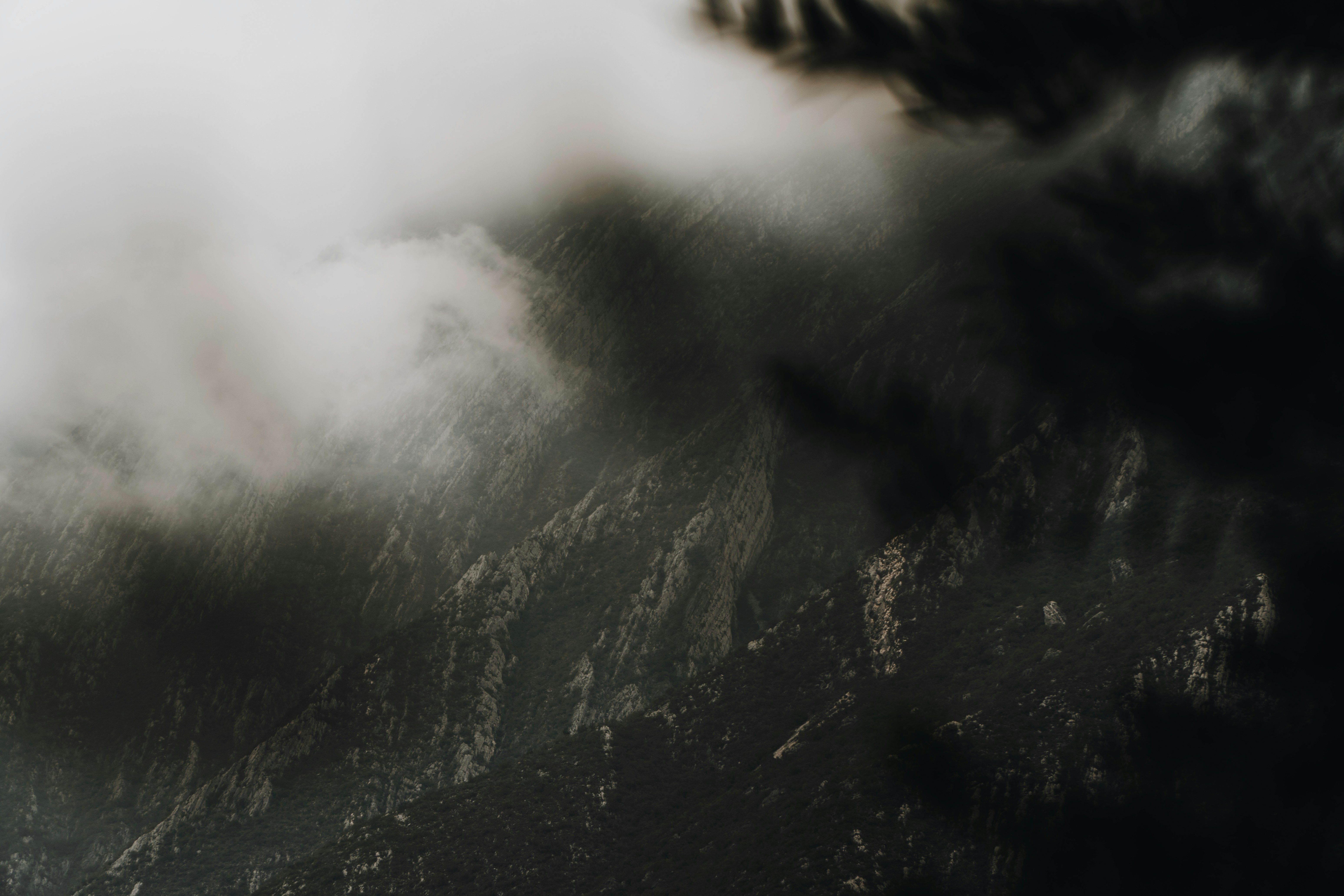 Photo by jonathansancheziam