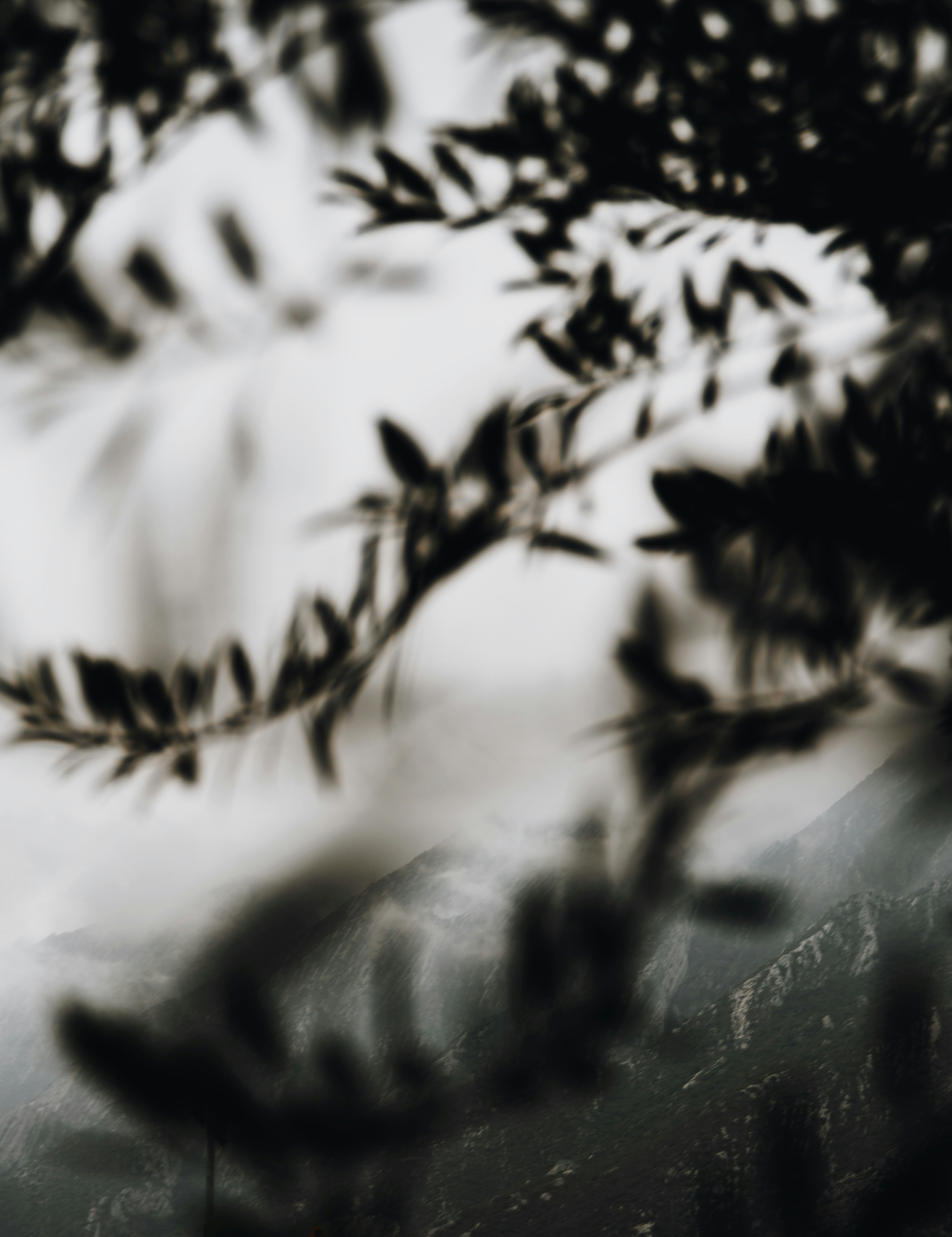 Photo by jonathansancheziam