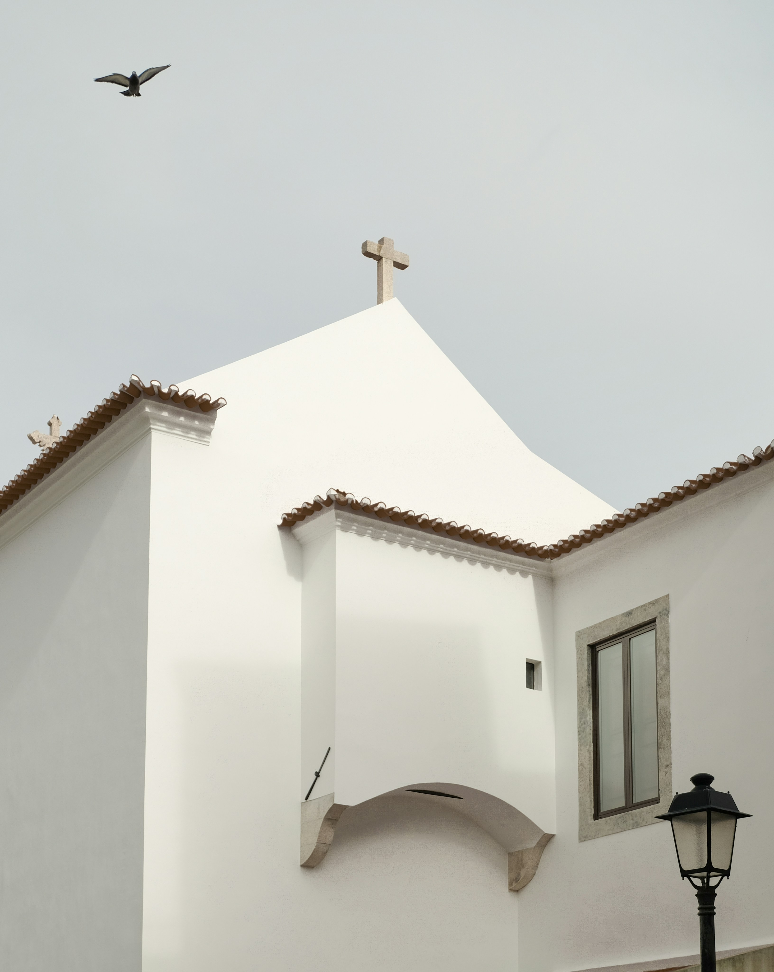 Photo by noelephantsflying