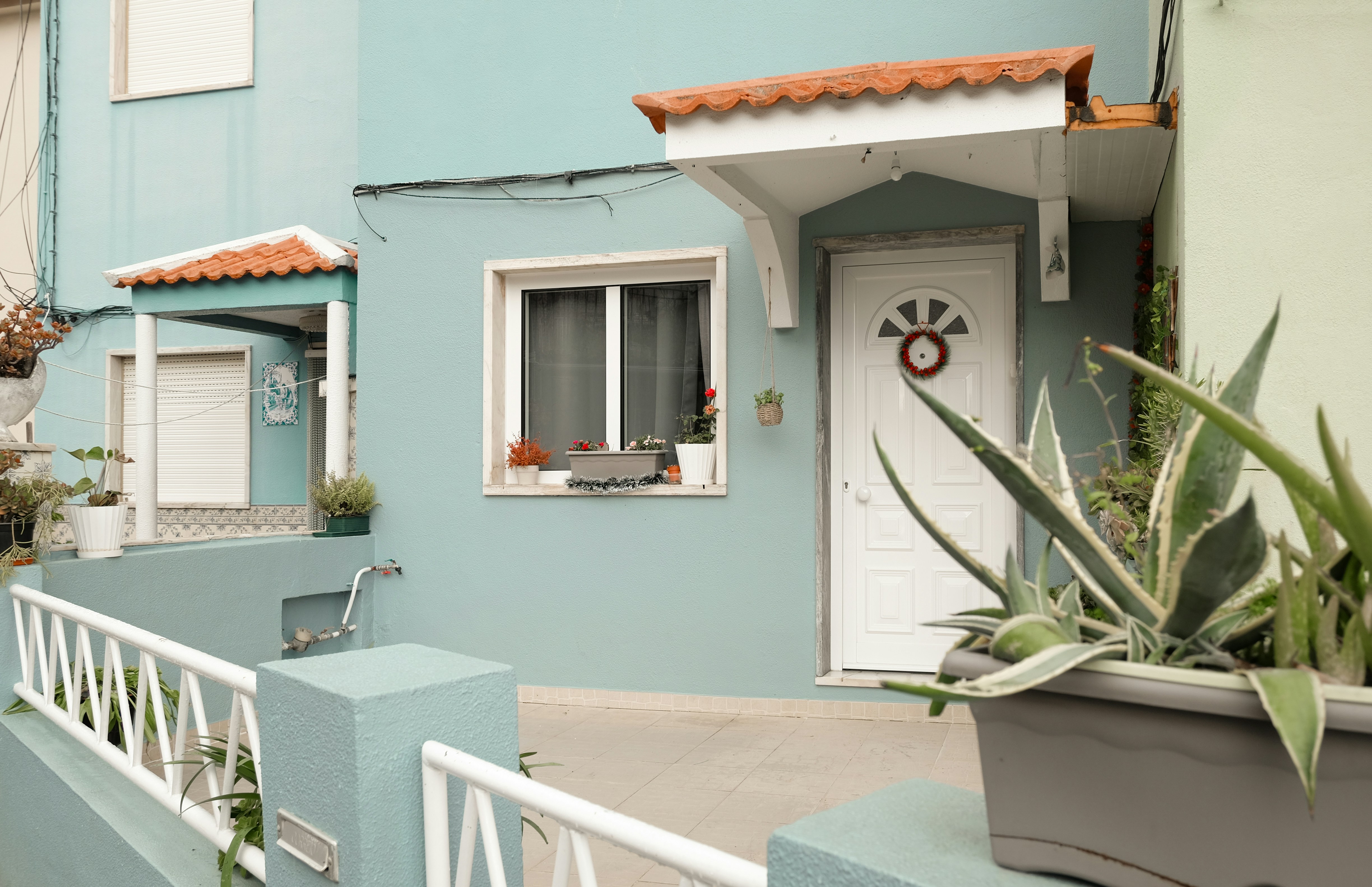 Photo by noelephantsflying