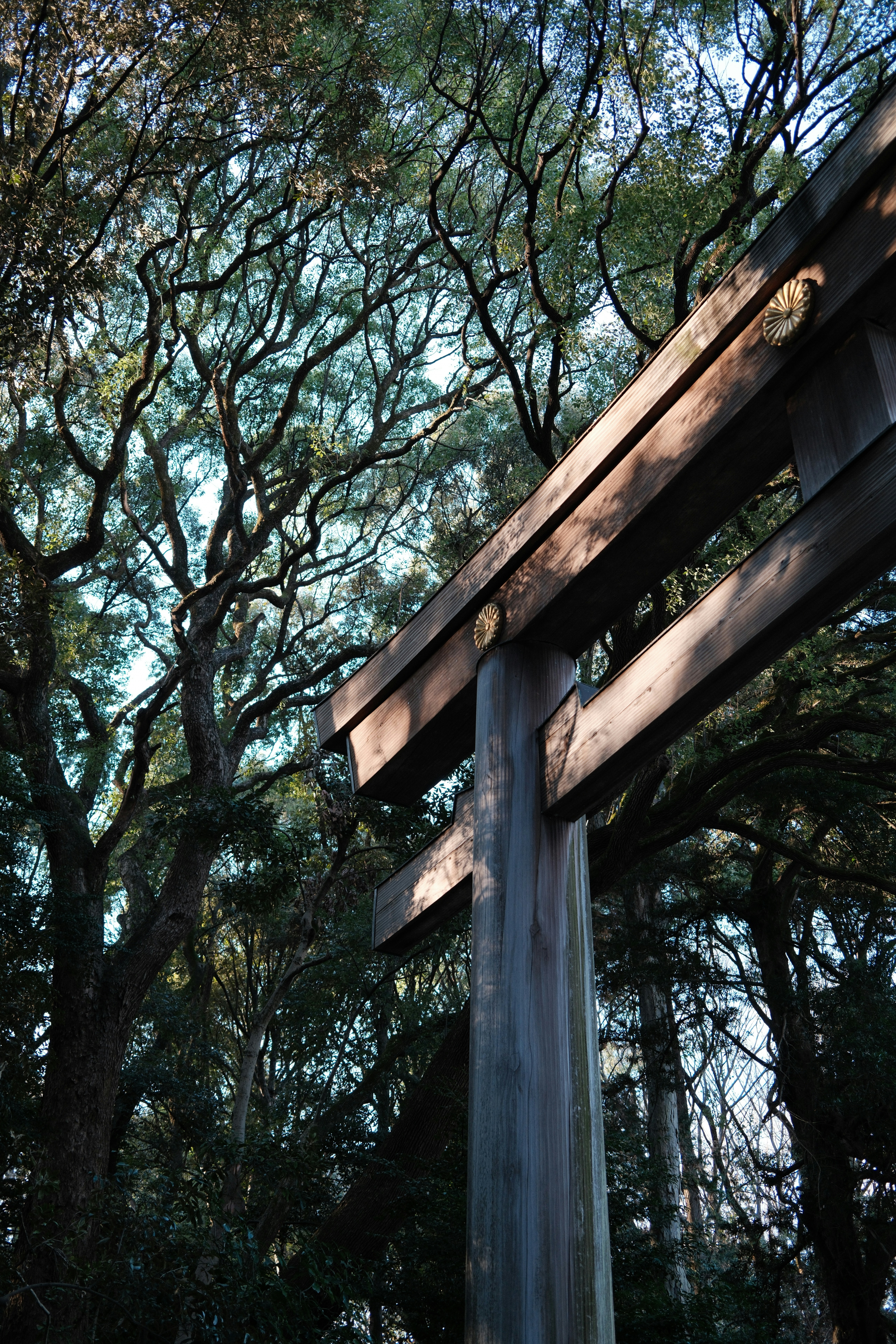 Uma cruz de madeira no meio de uma floresta
