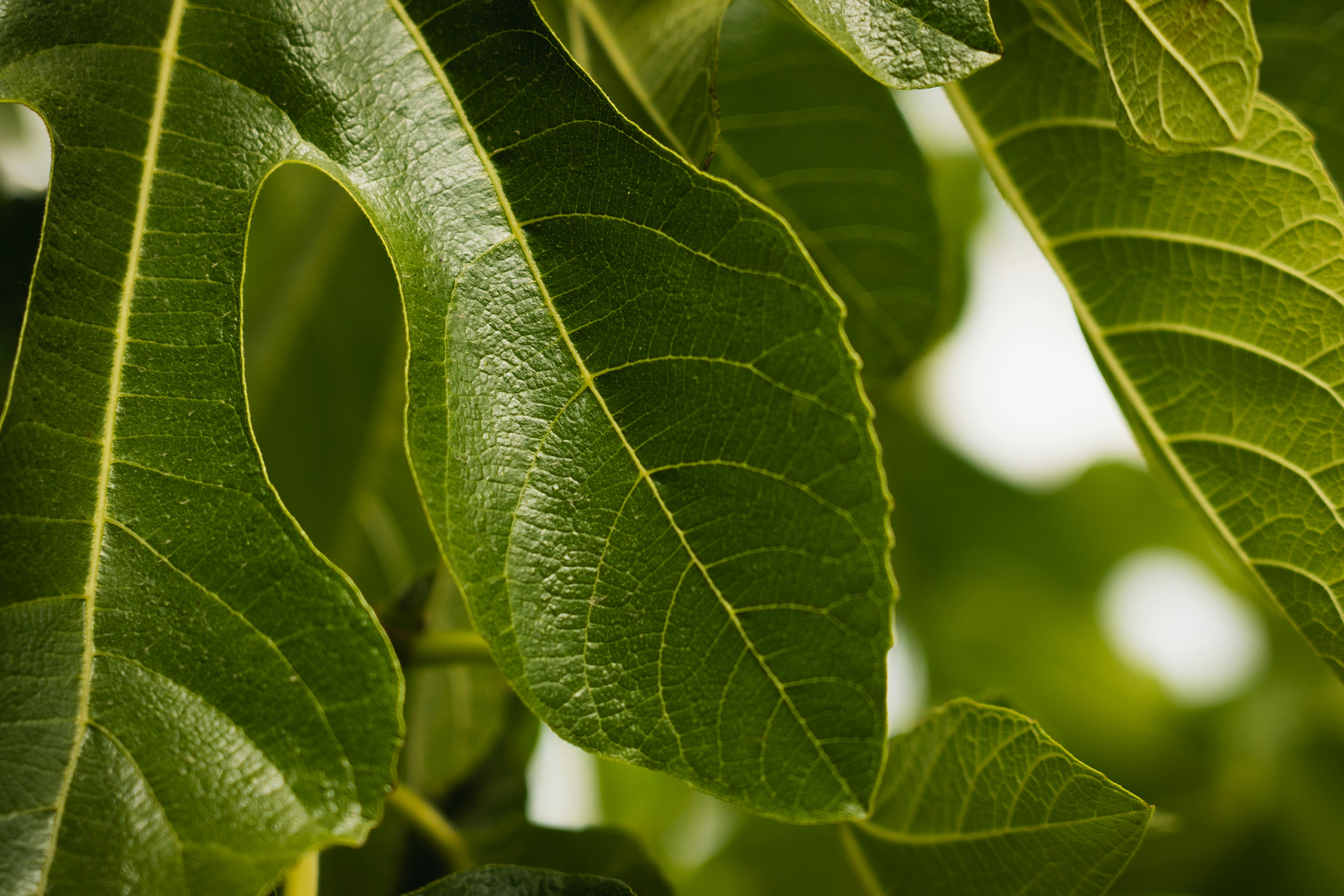 Photo by eden_tuaine