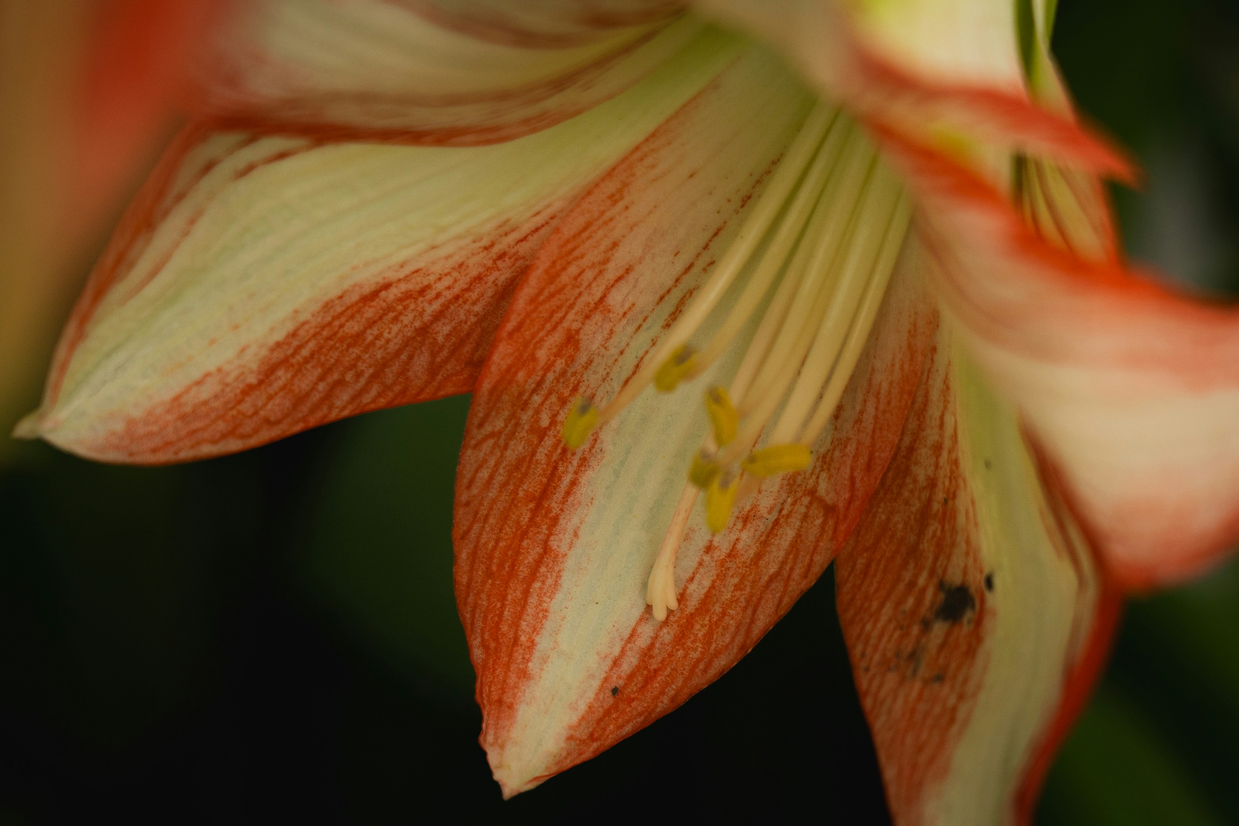 Photo by eden_tuaine