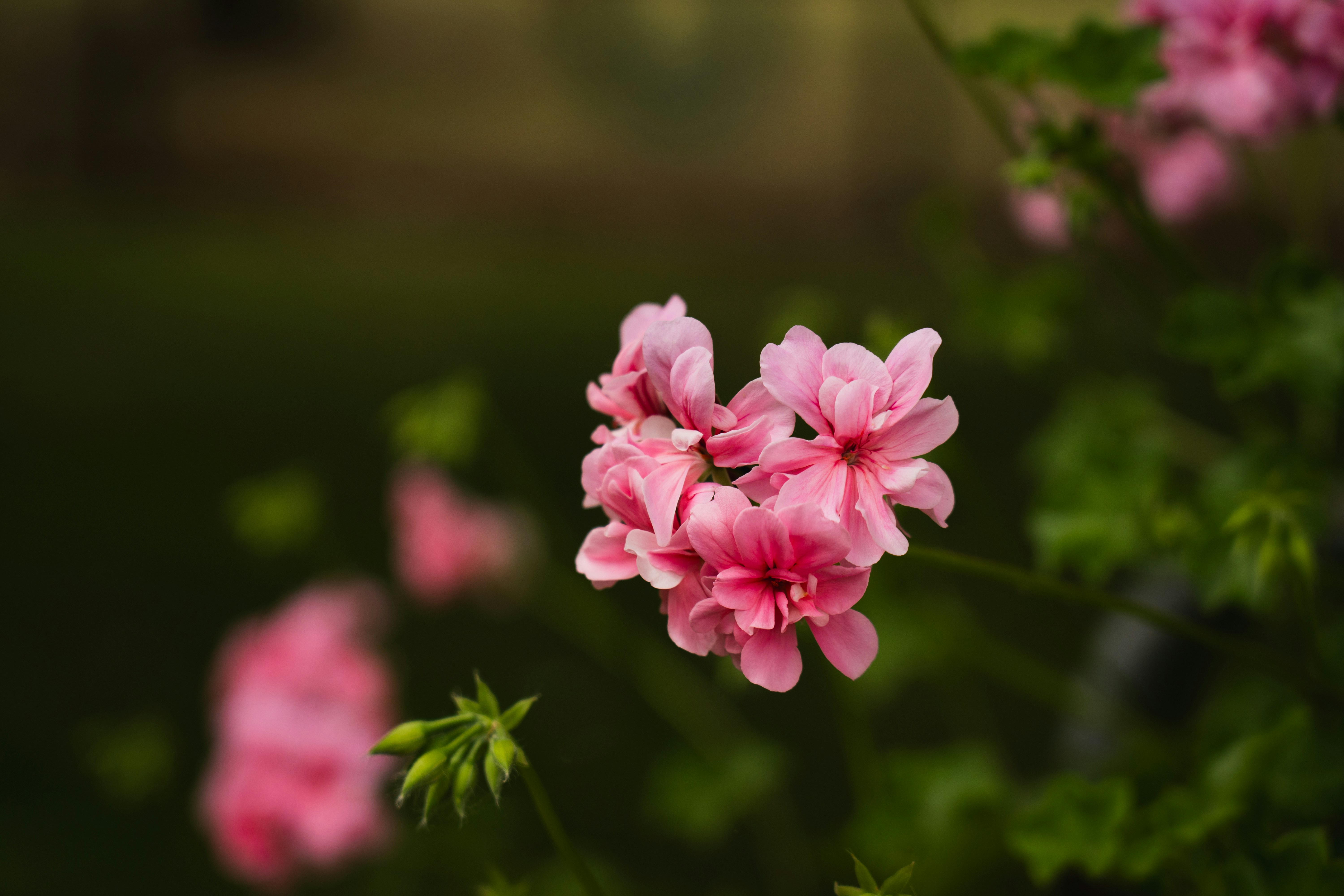 Photo by eden_tuaine