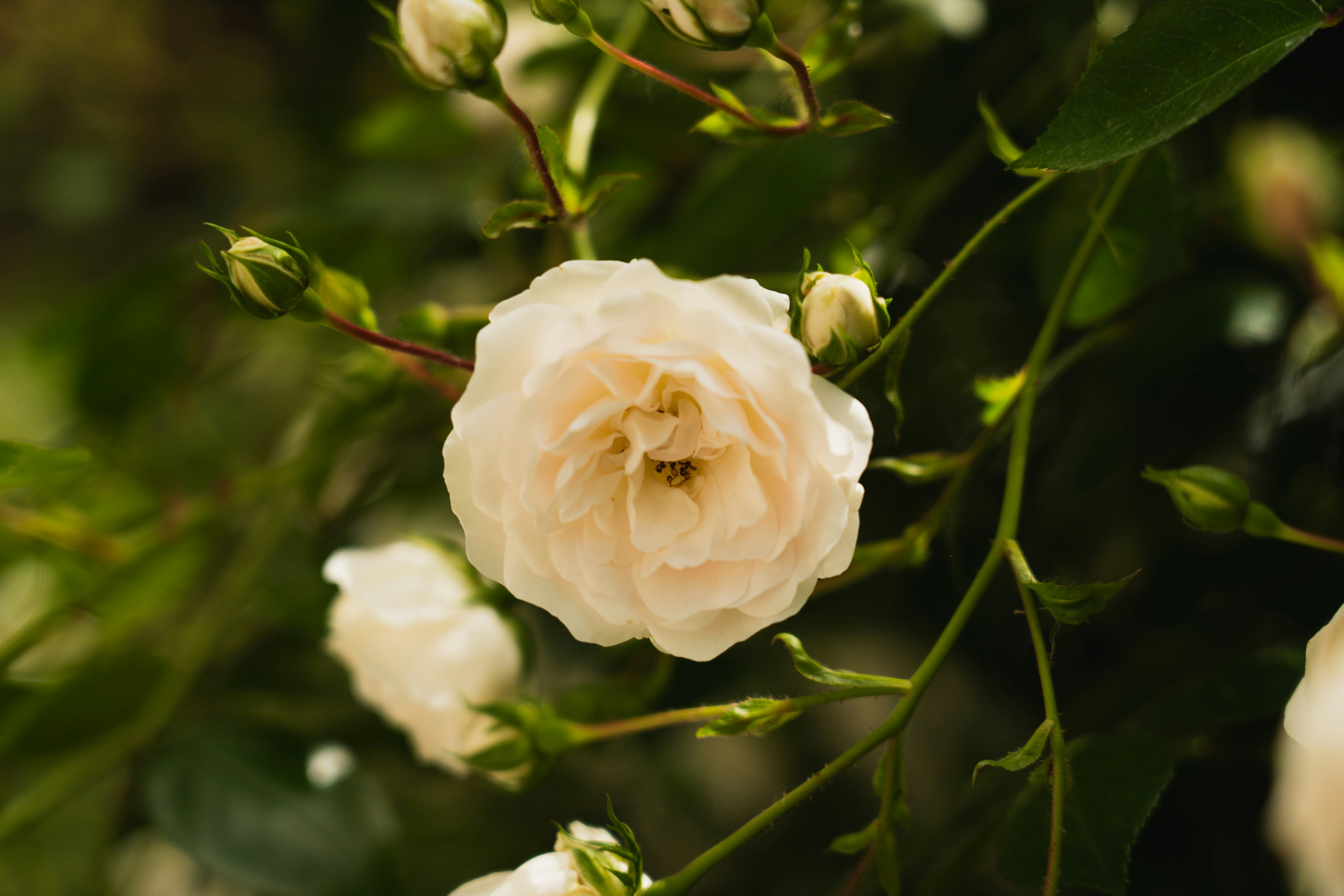 Photo by eden_tuaine