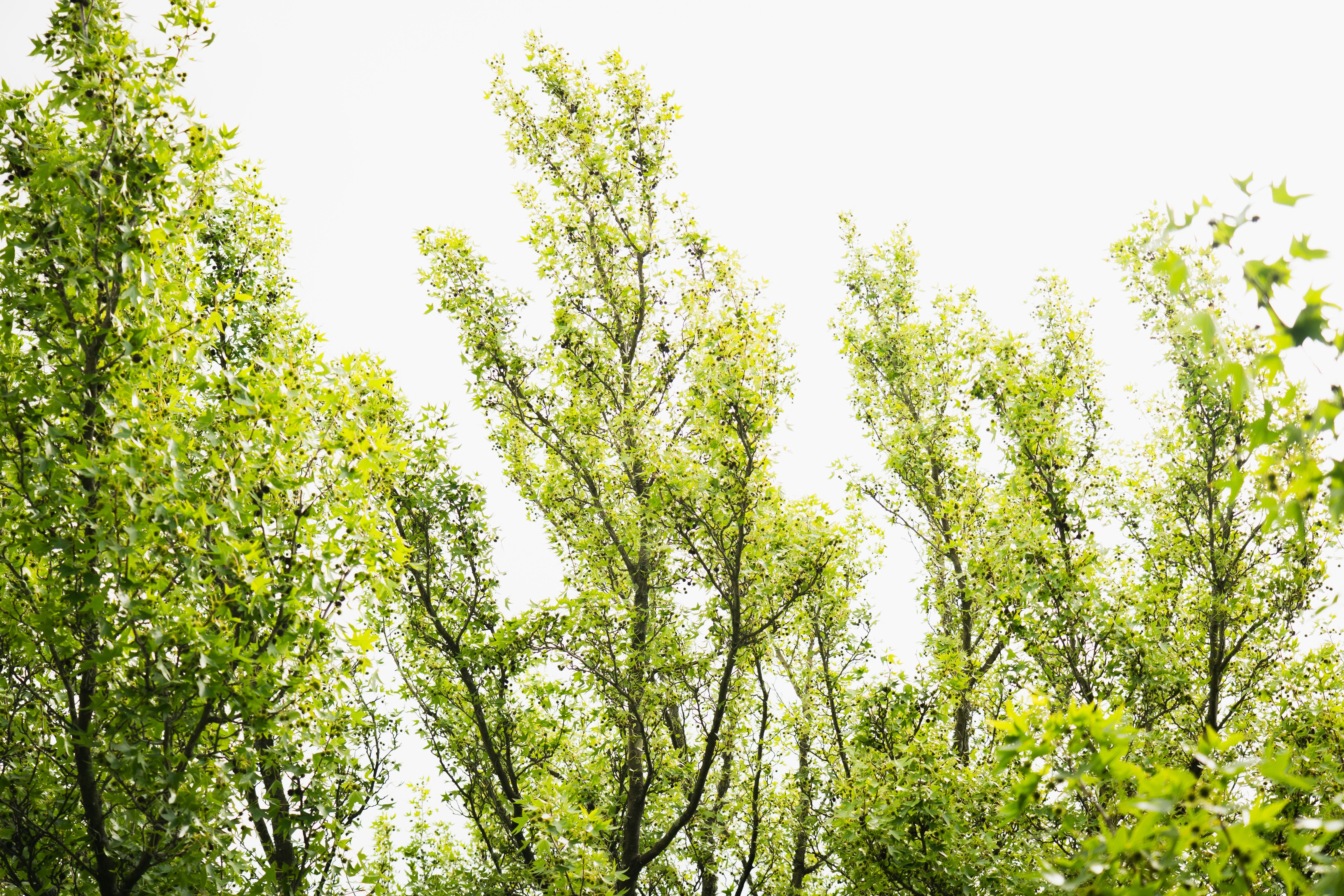 Photo by eden_tuaine