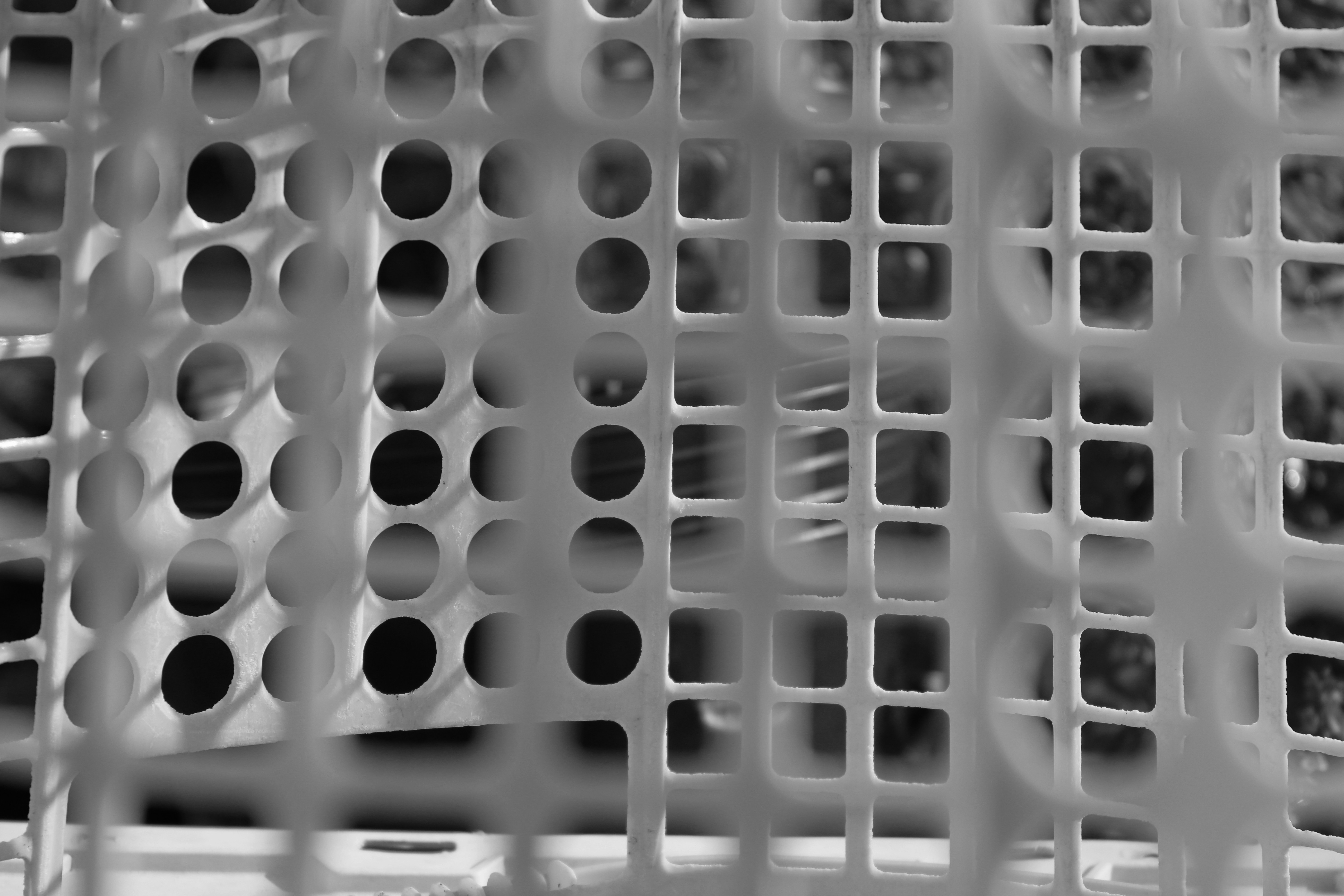 Photo by nganvvo1105