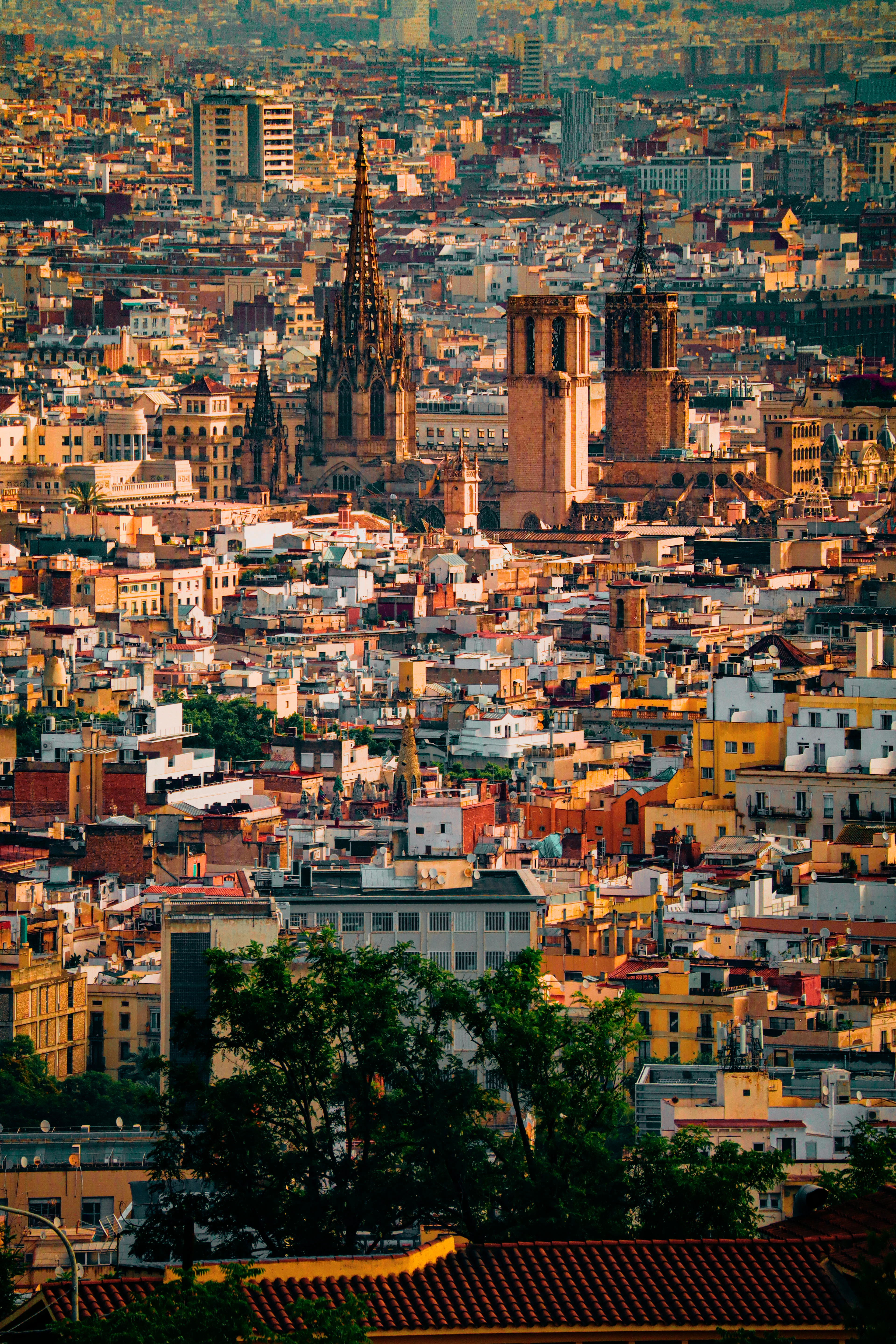A slender church spire rises above the sun-lit, tightly packed rooftops of Barcelona's old town.