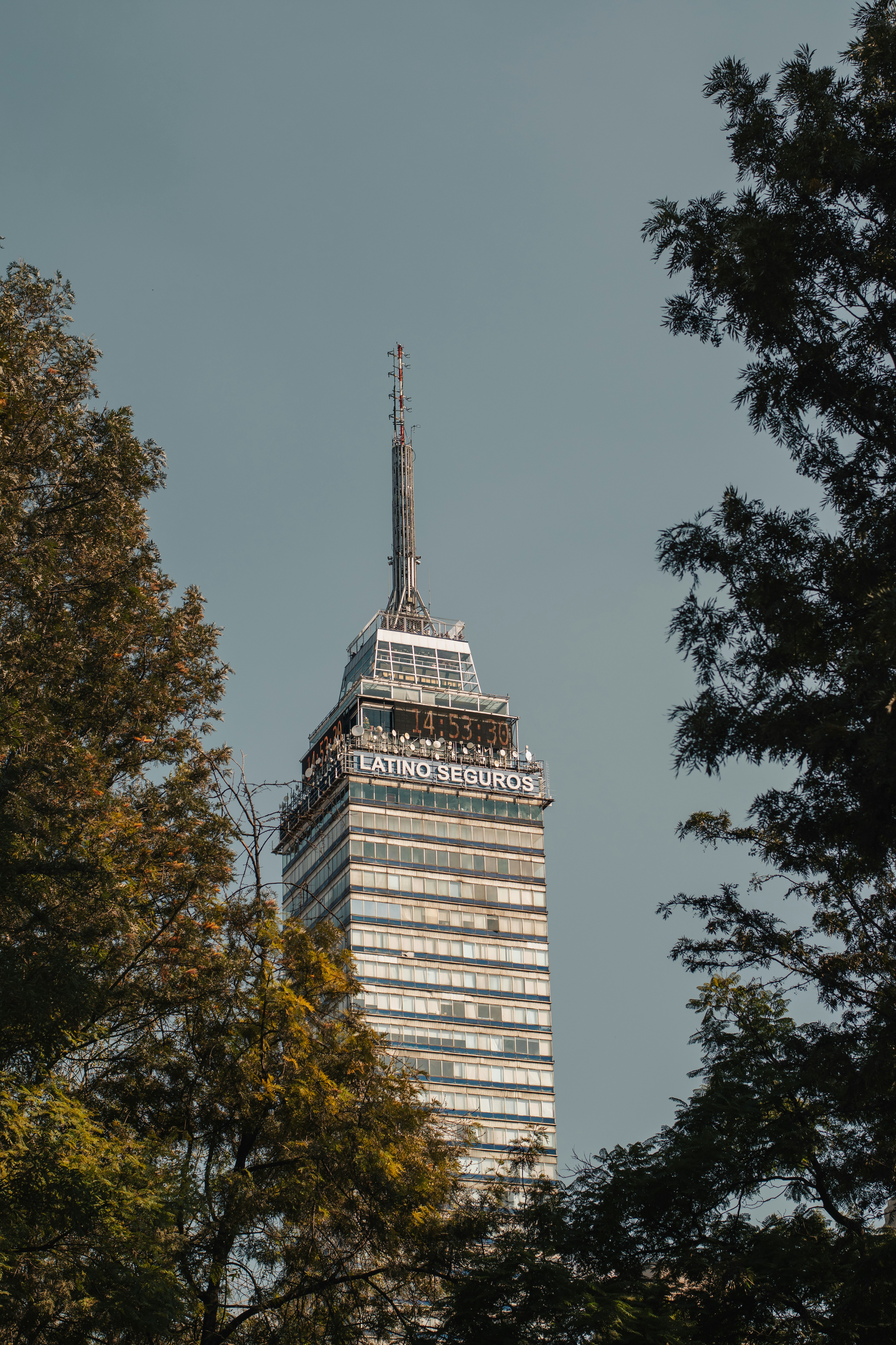 A view of a tall building through some trees