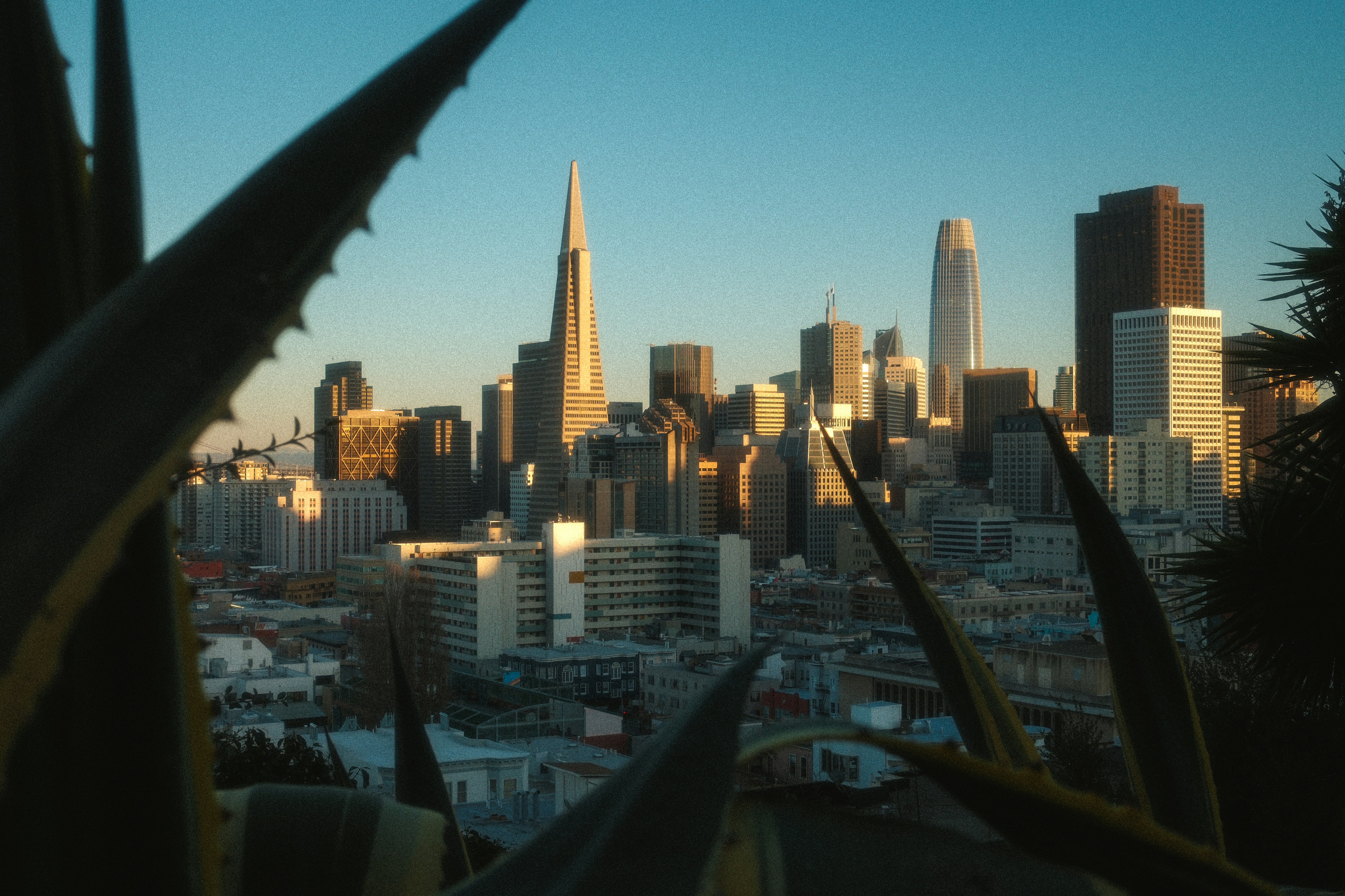 Photo by kalaniparker