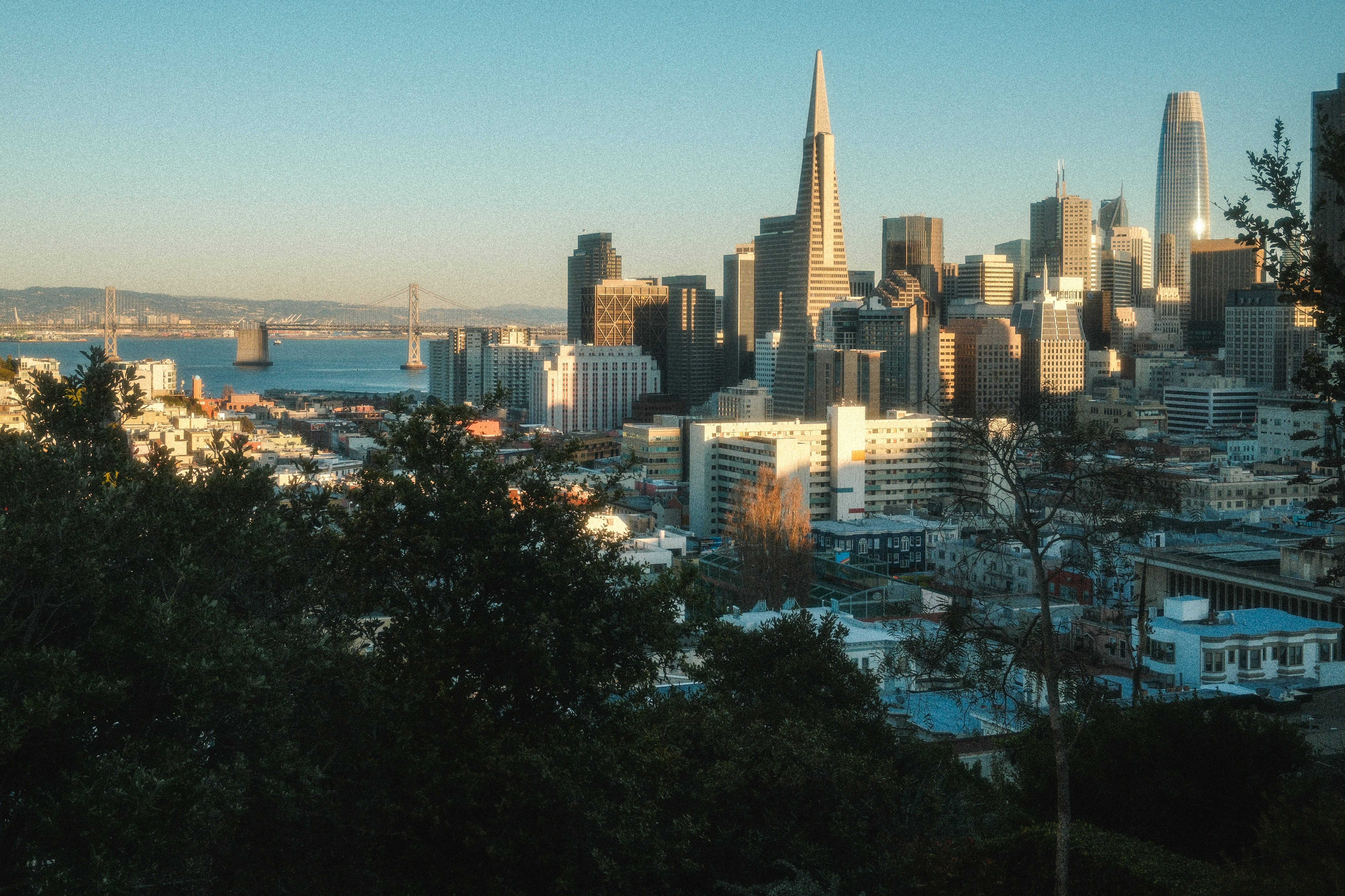 Photo by kalaniparker