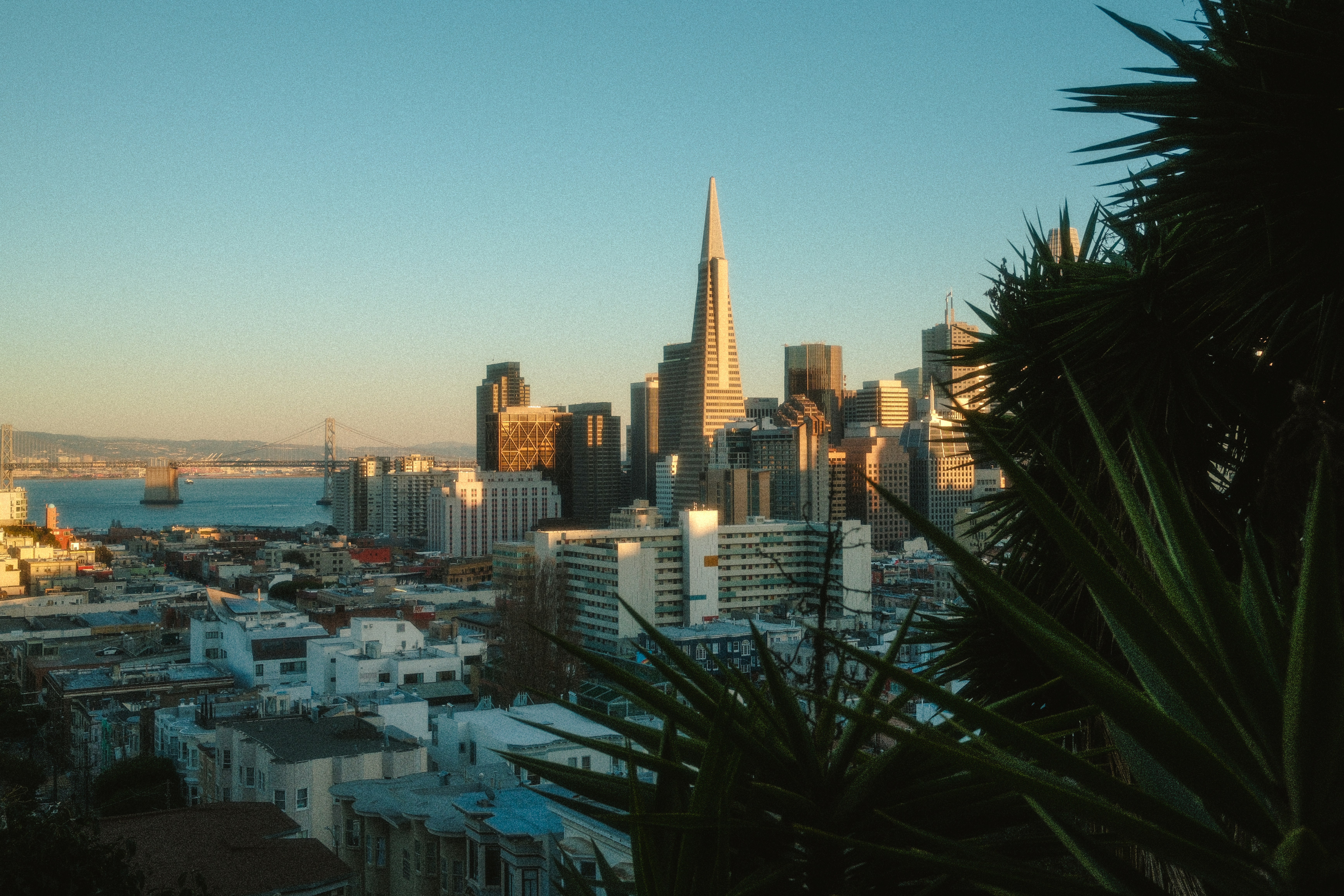 Photo by kalaniparker