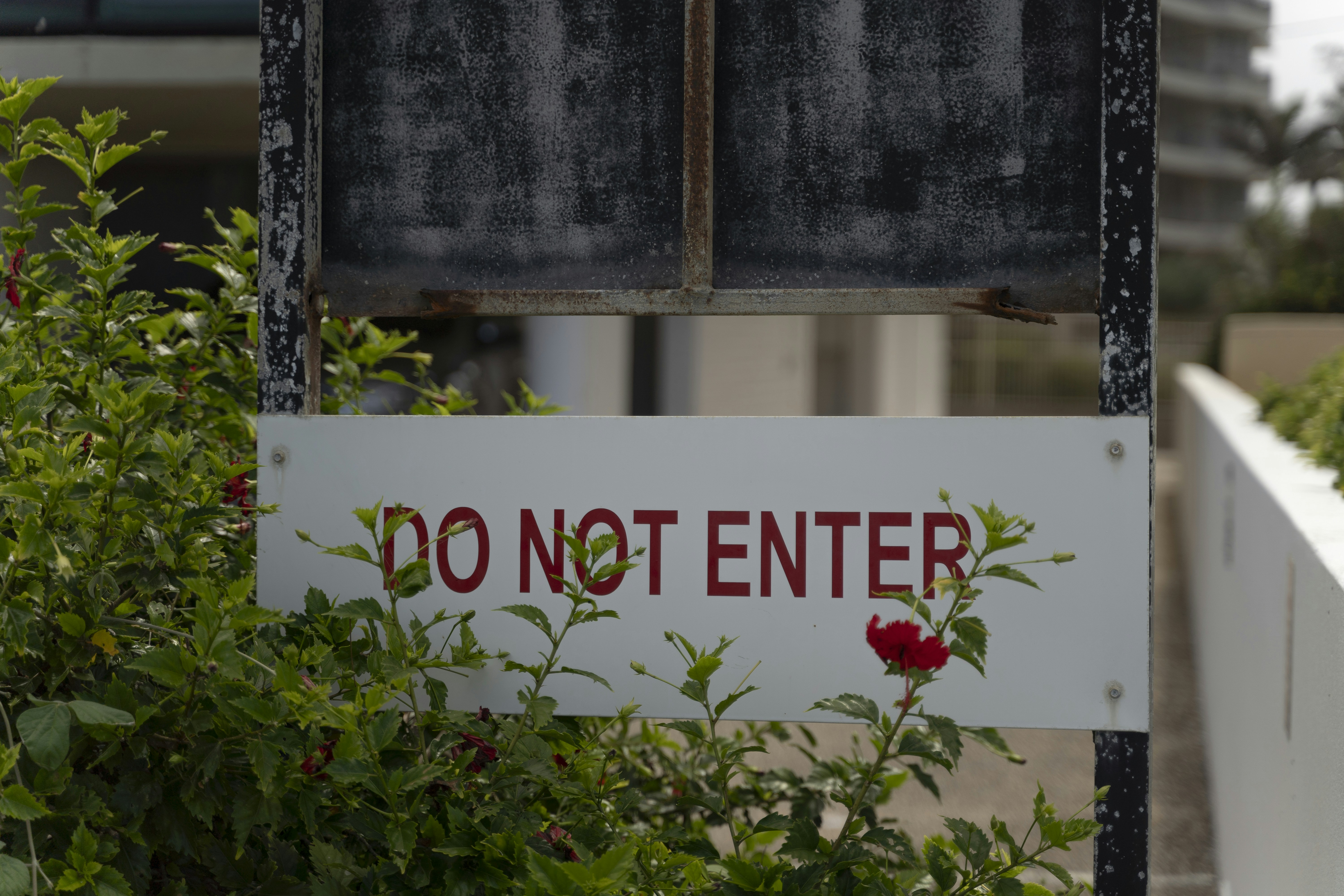 Photo by kristupas15426