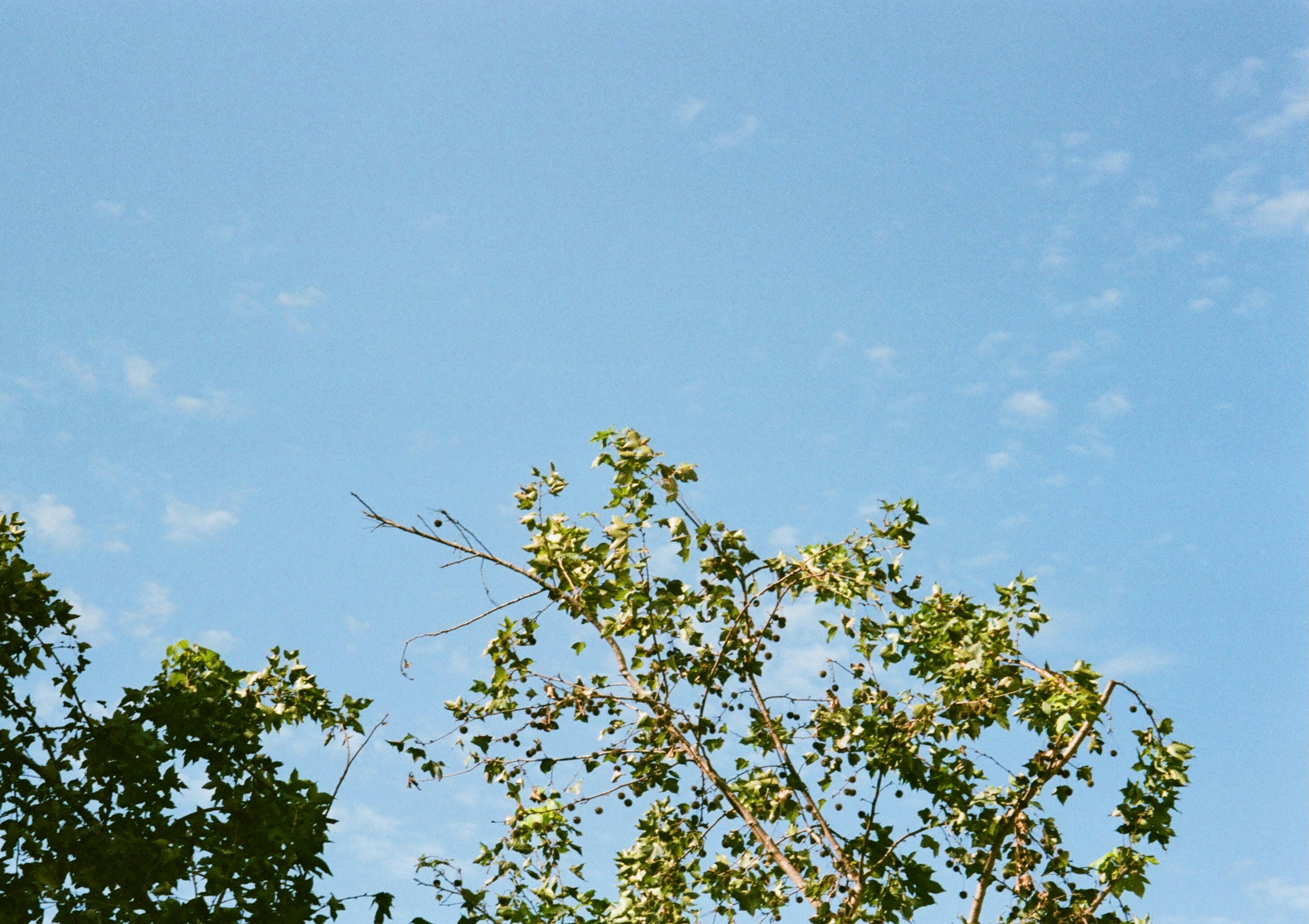 Photo by wilson901124