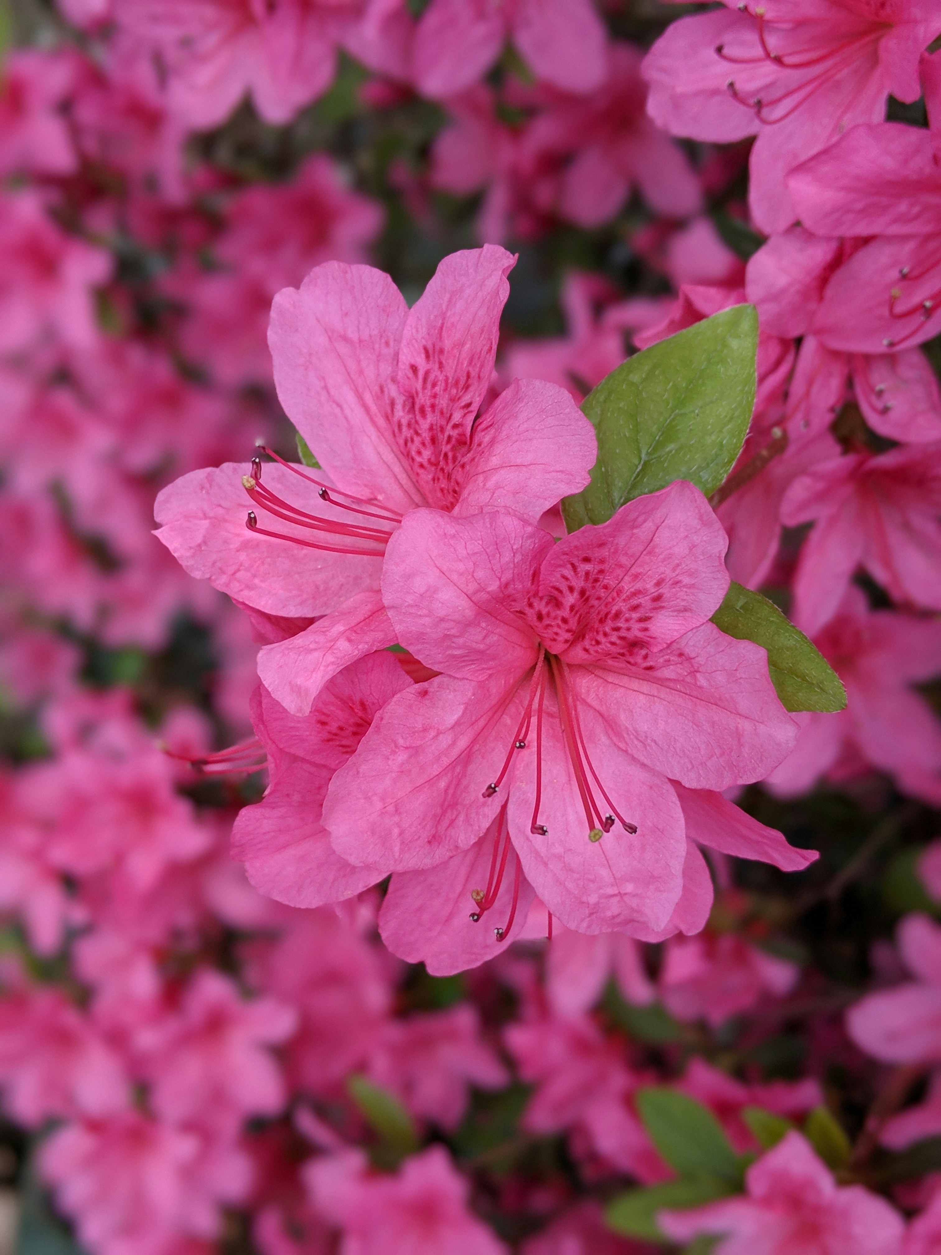 Photo by vaidehiagarwalla