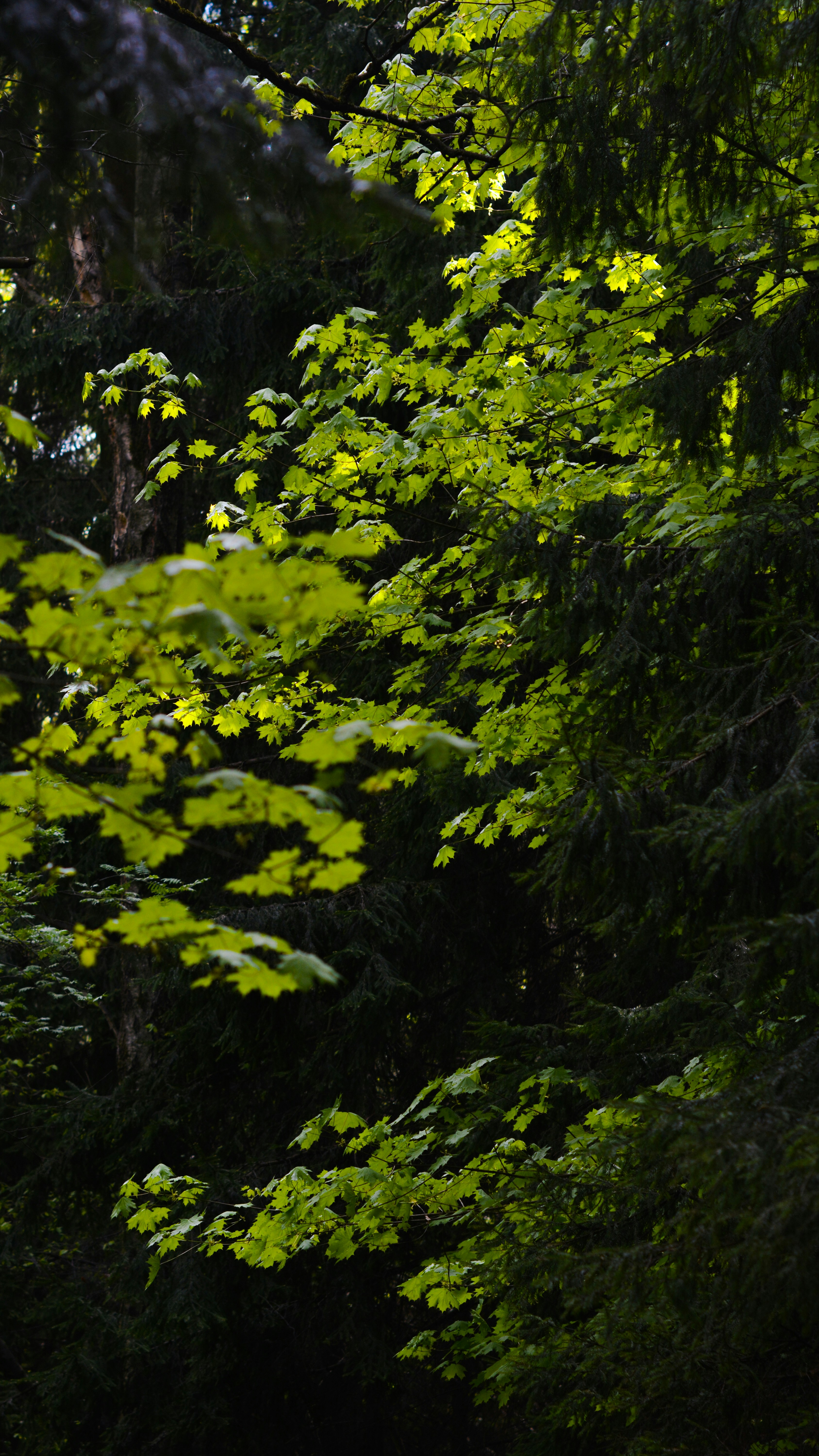 Photo by spacelistener