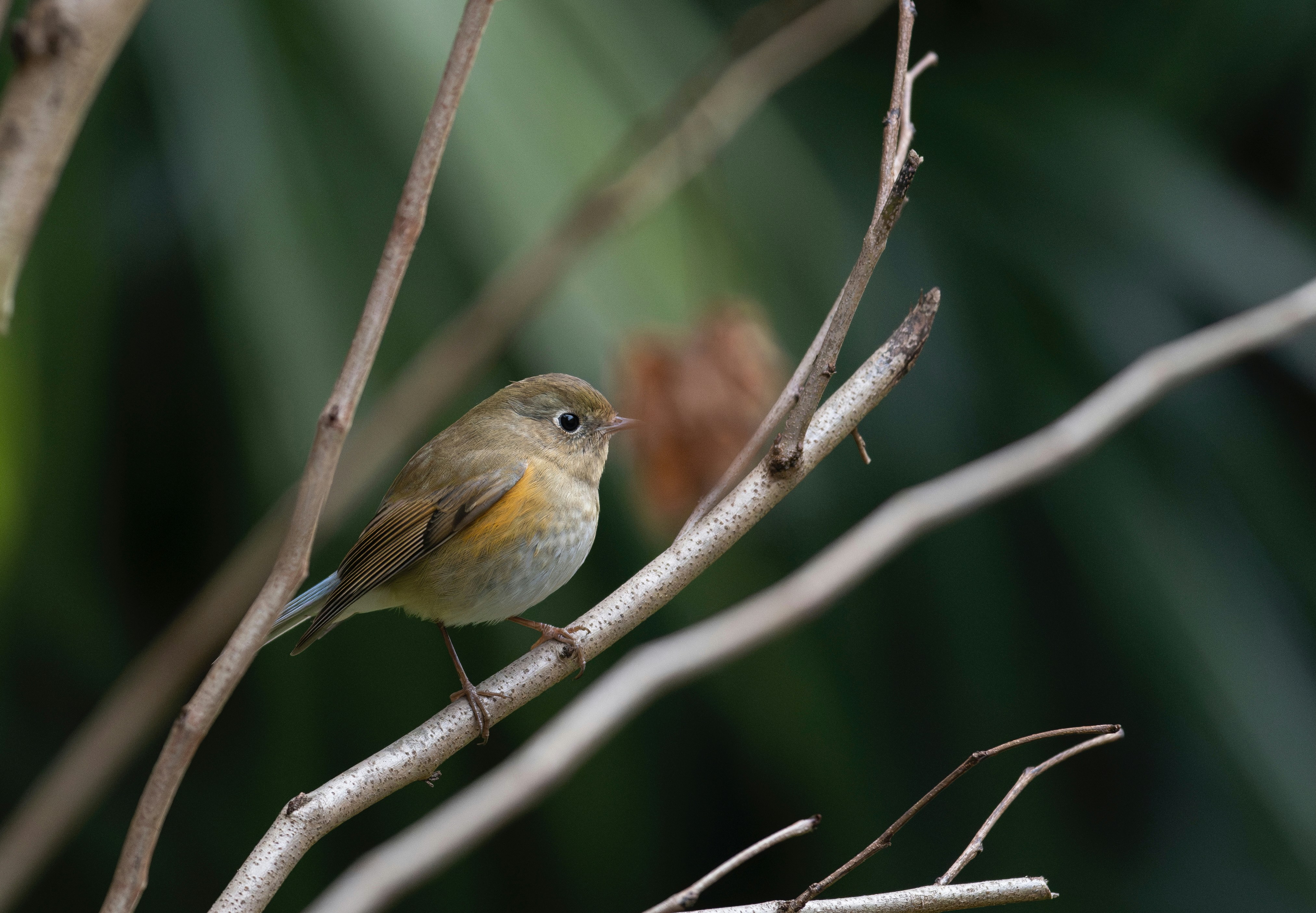 Photo by briadorothy