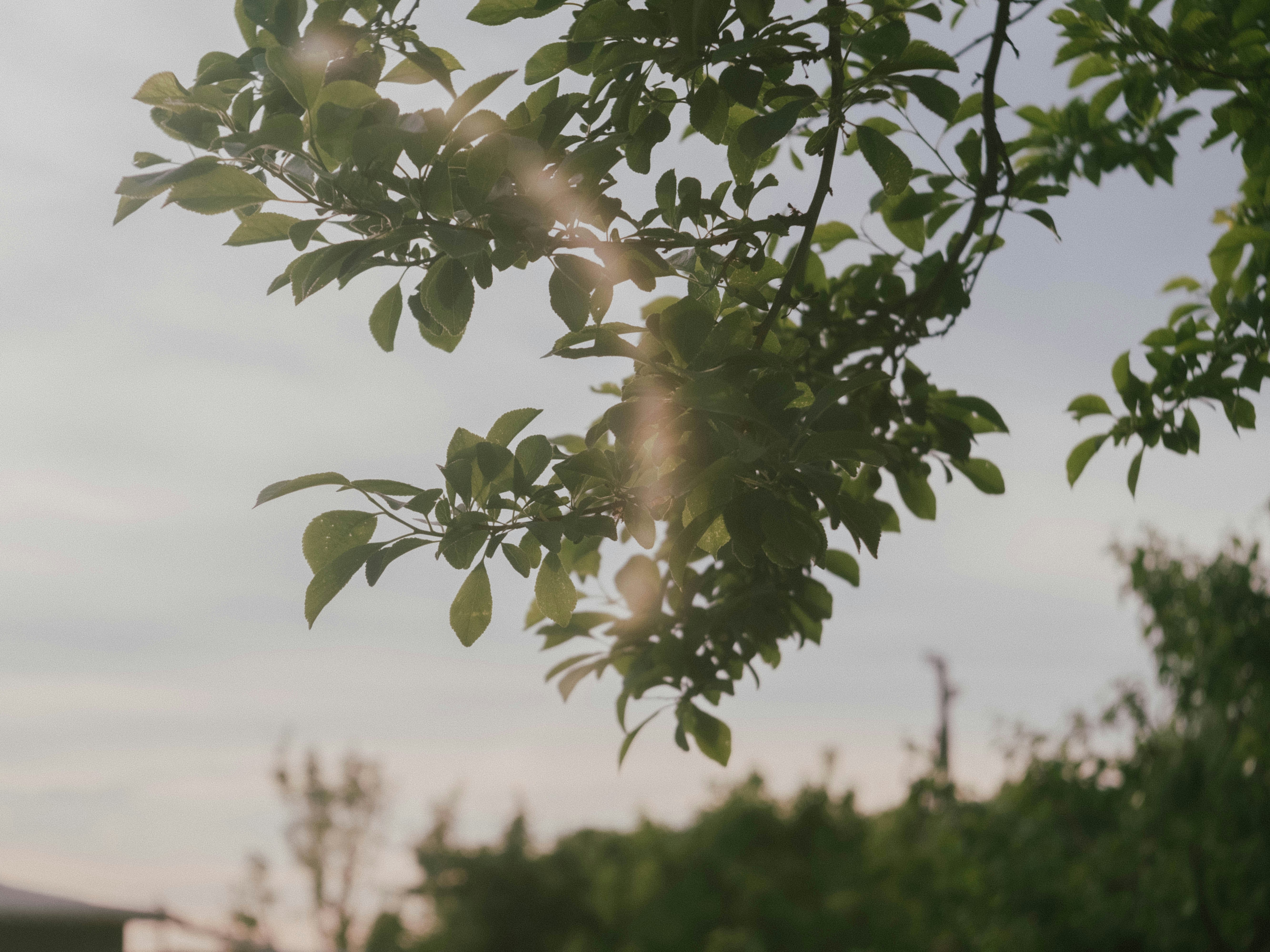 Photo by neverspillthetea